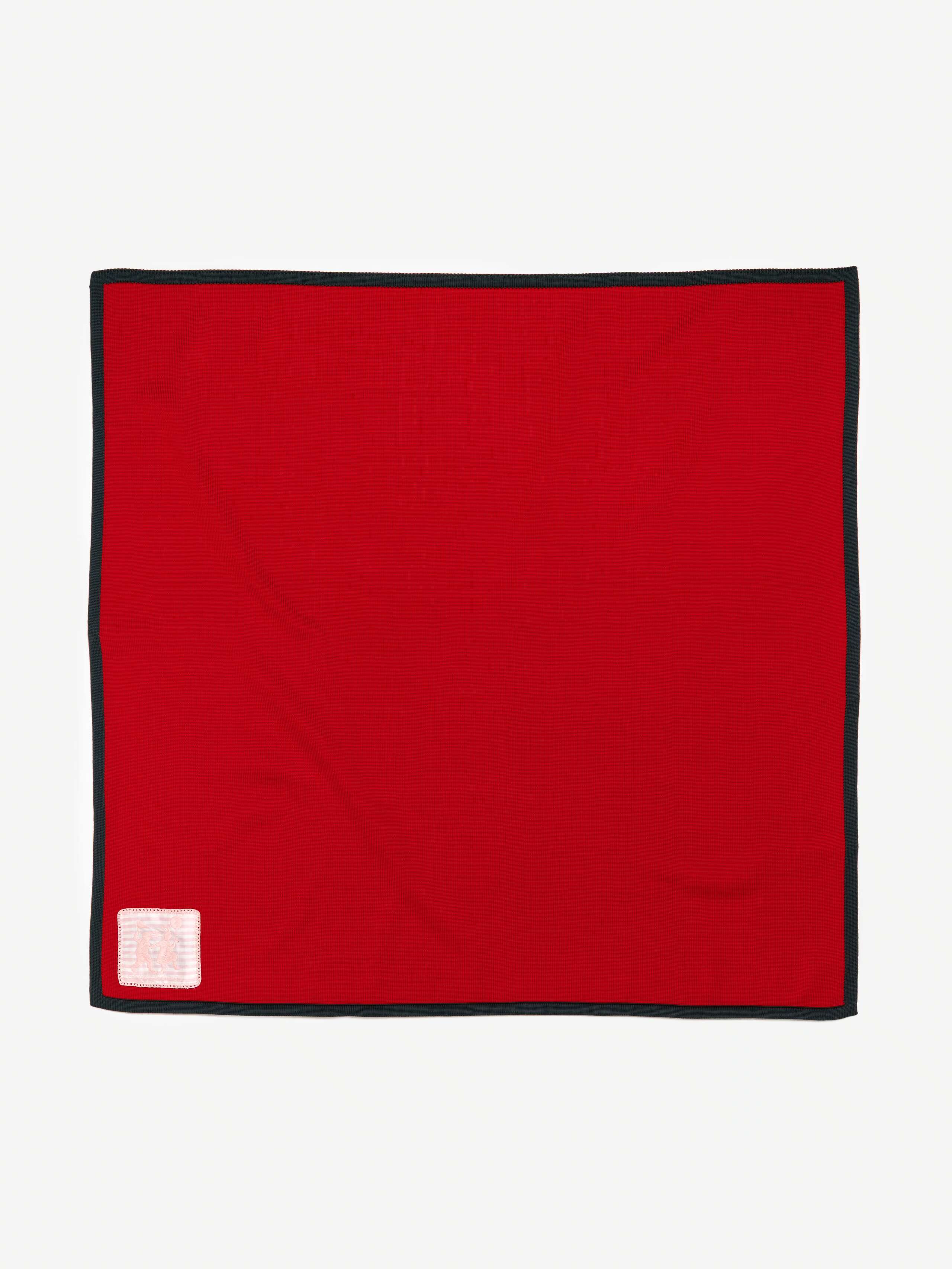Product Shot of Baby Knit Blanket in Cherry Red 