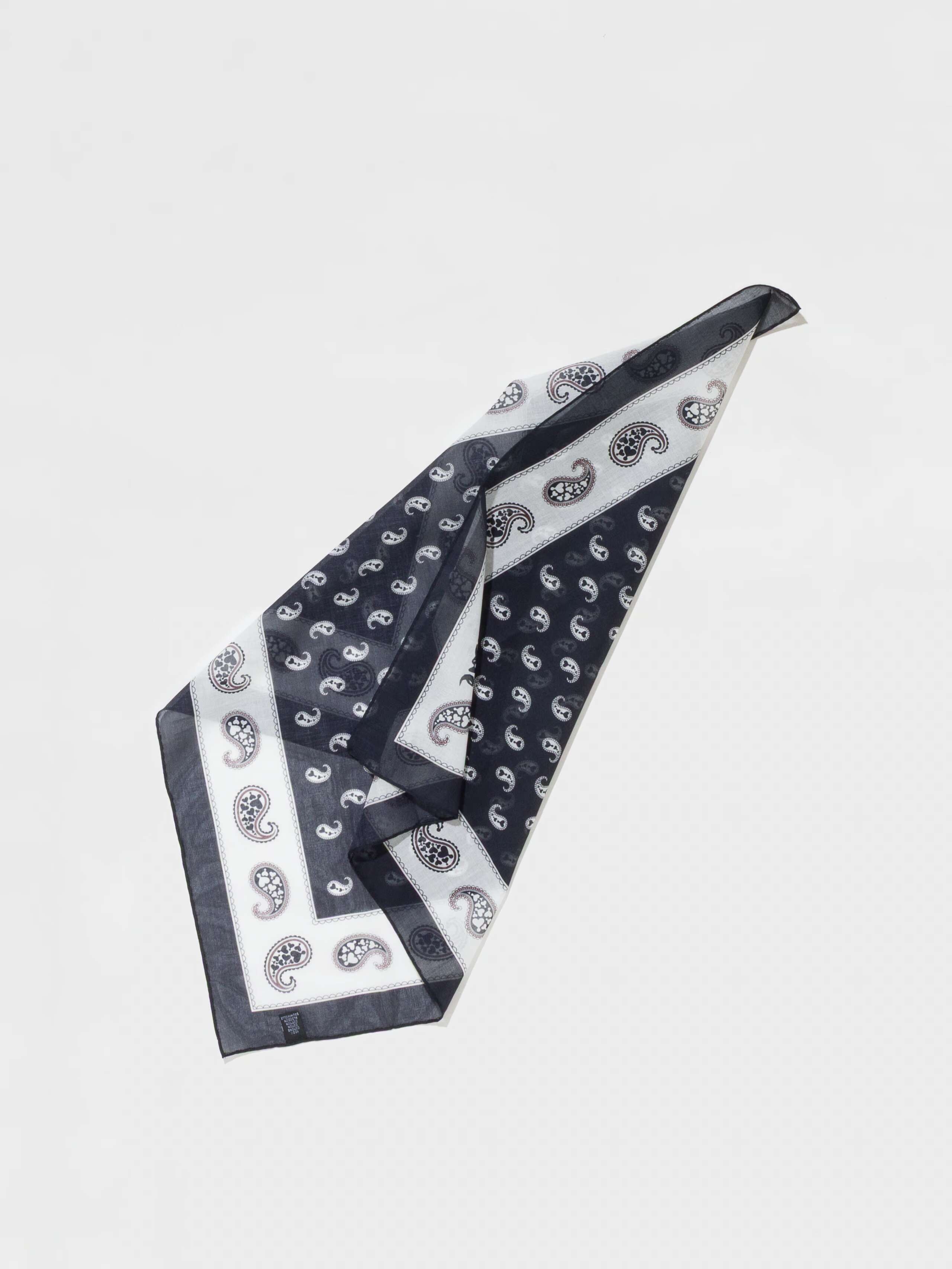 Product Shot of Carre Foulard Paisley Print in Black