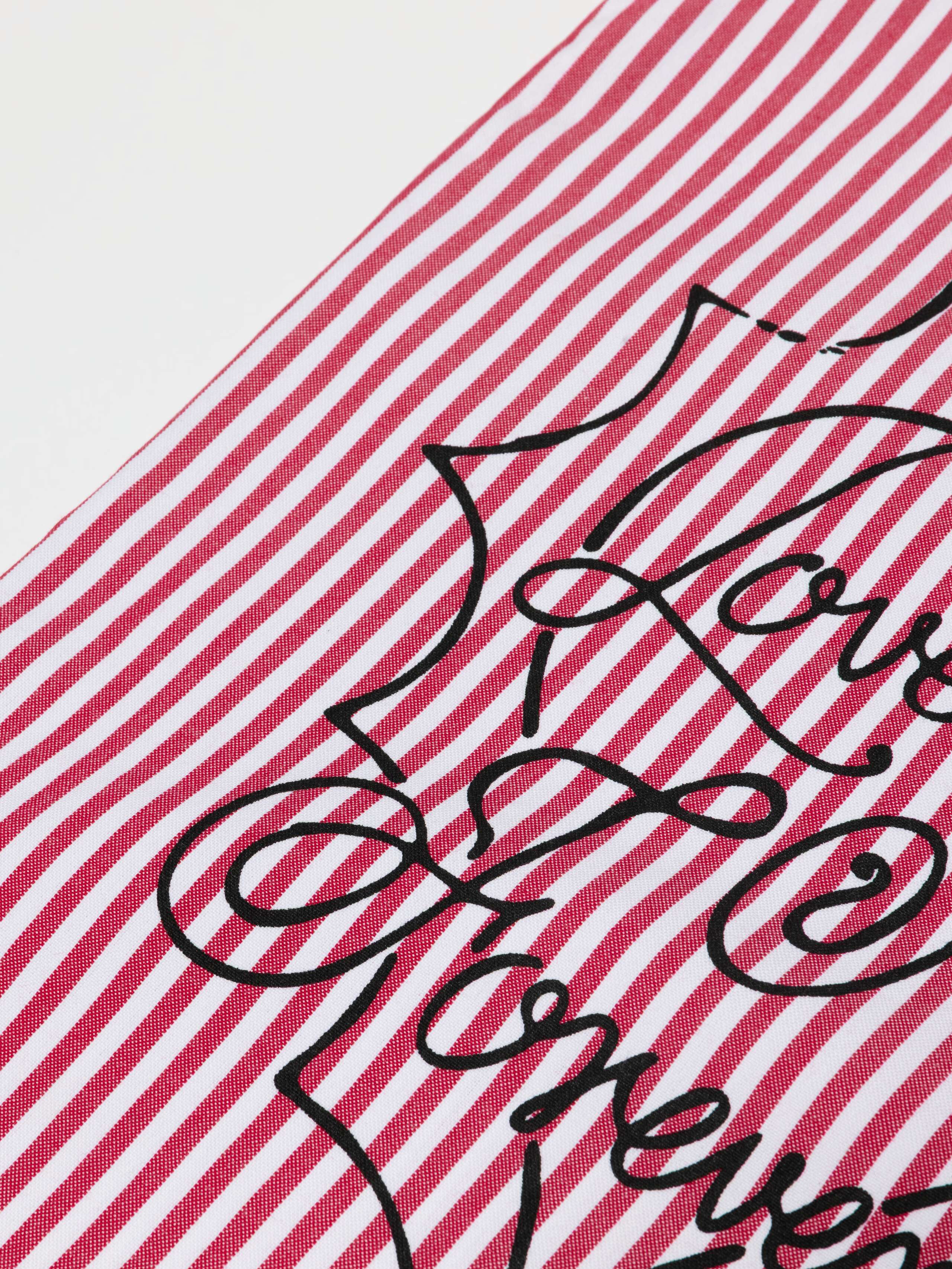 Detail Shot of graphic on Limited Edition Carry All Bag Paco & Vivi 