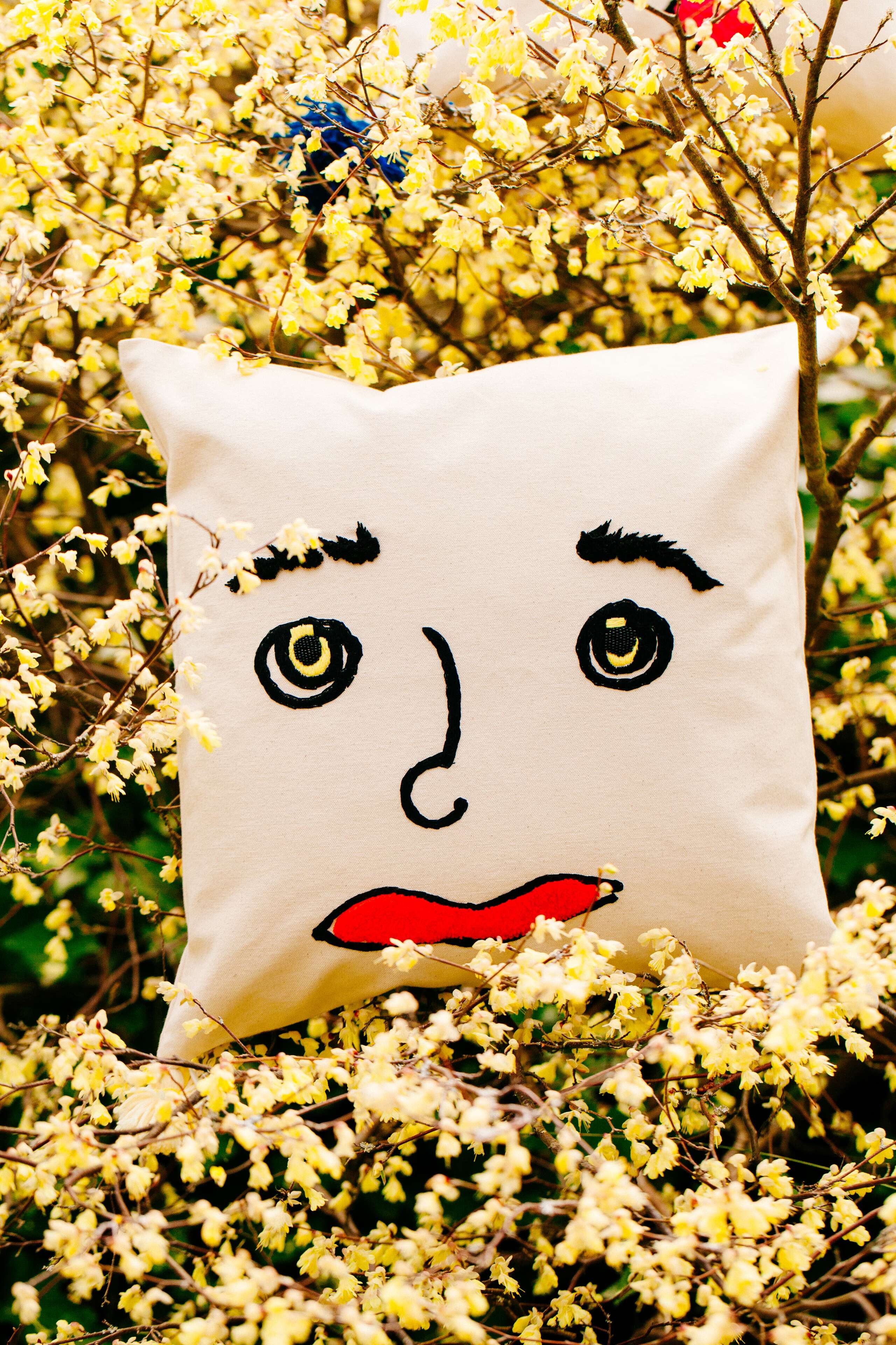 enSoie faces pillows