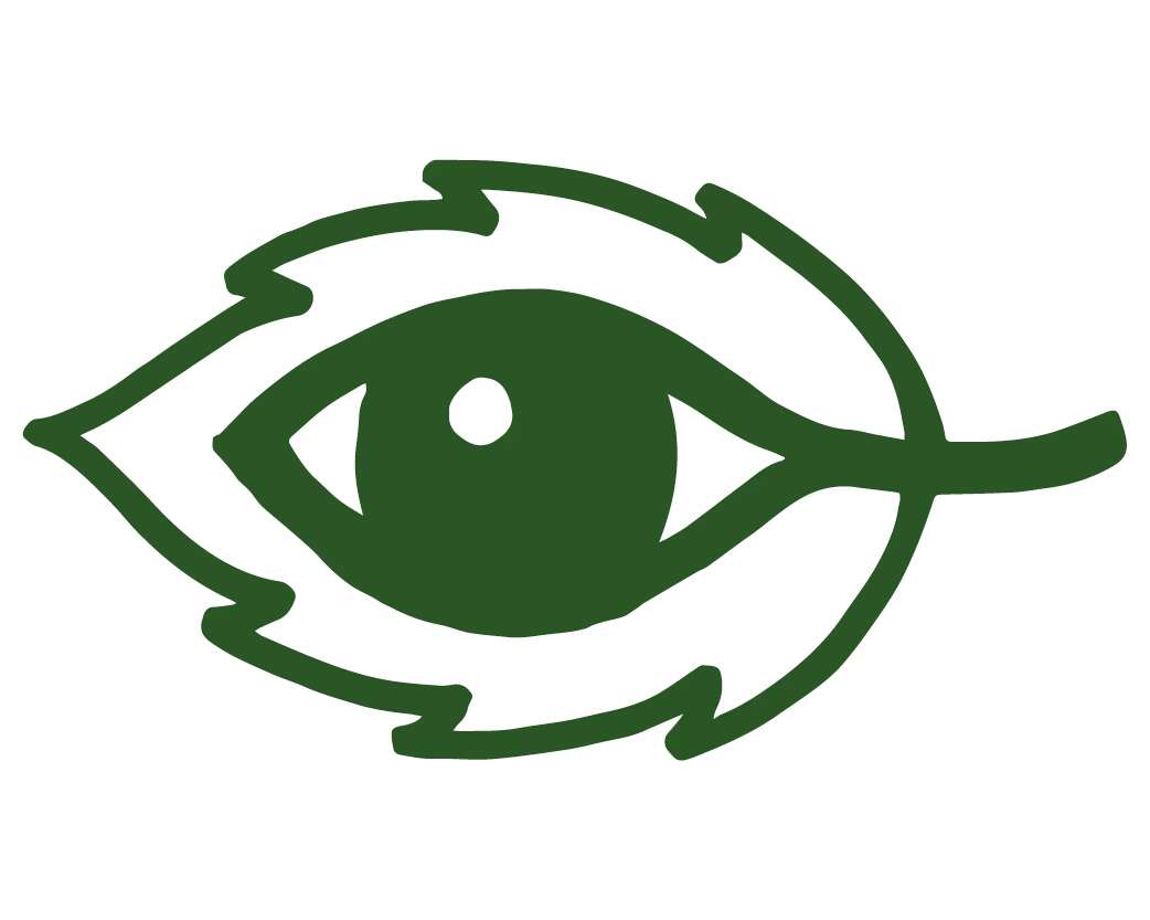 enSoie values