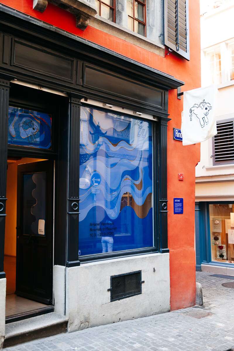 Ariane Vonmoos, Rindermarkt 23