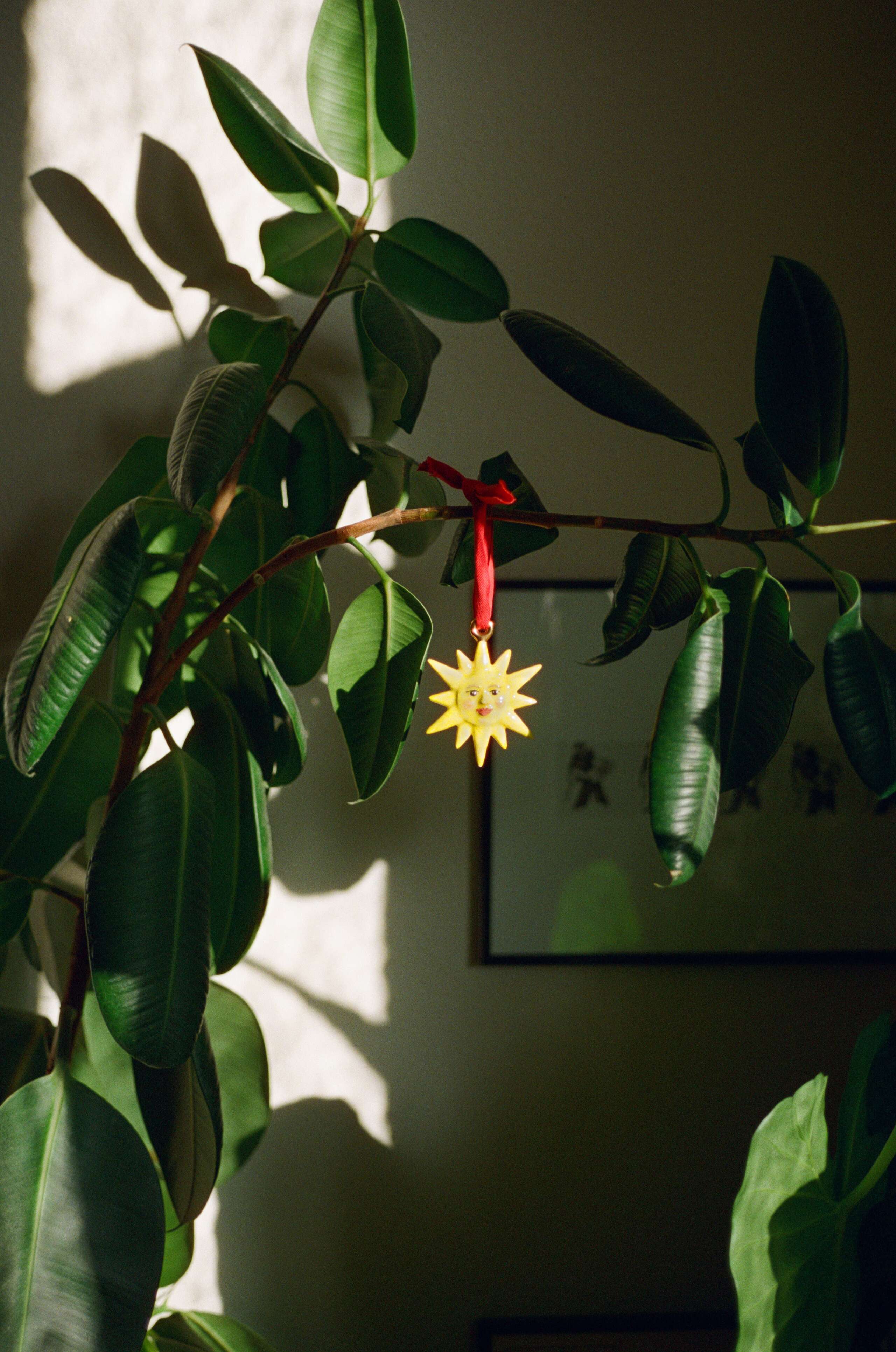 Susan Zimmermann, enSoie