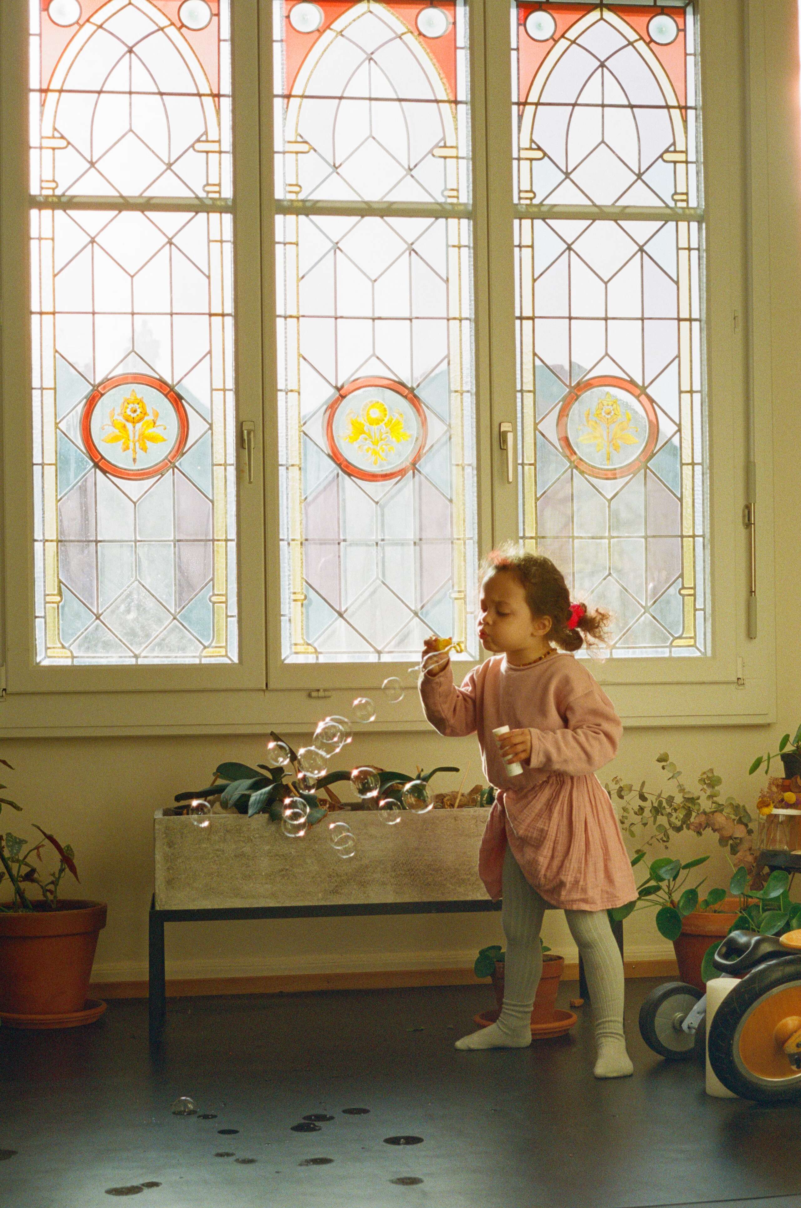 Susan Zimmermann, enSoie