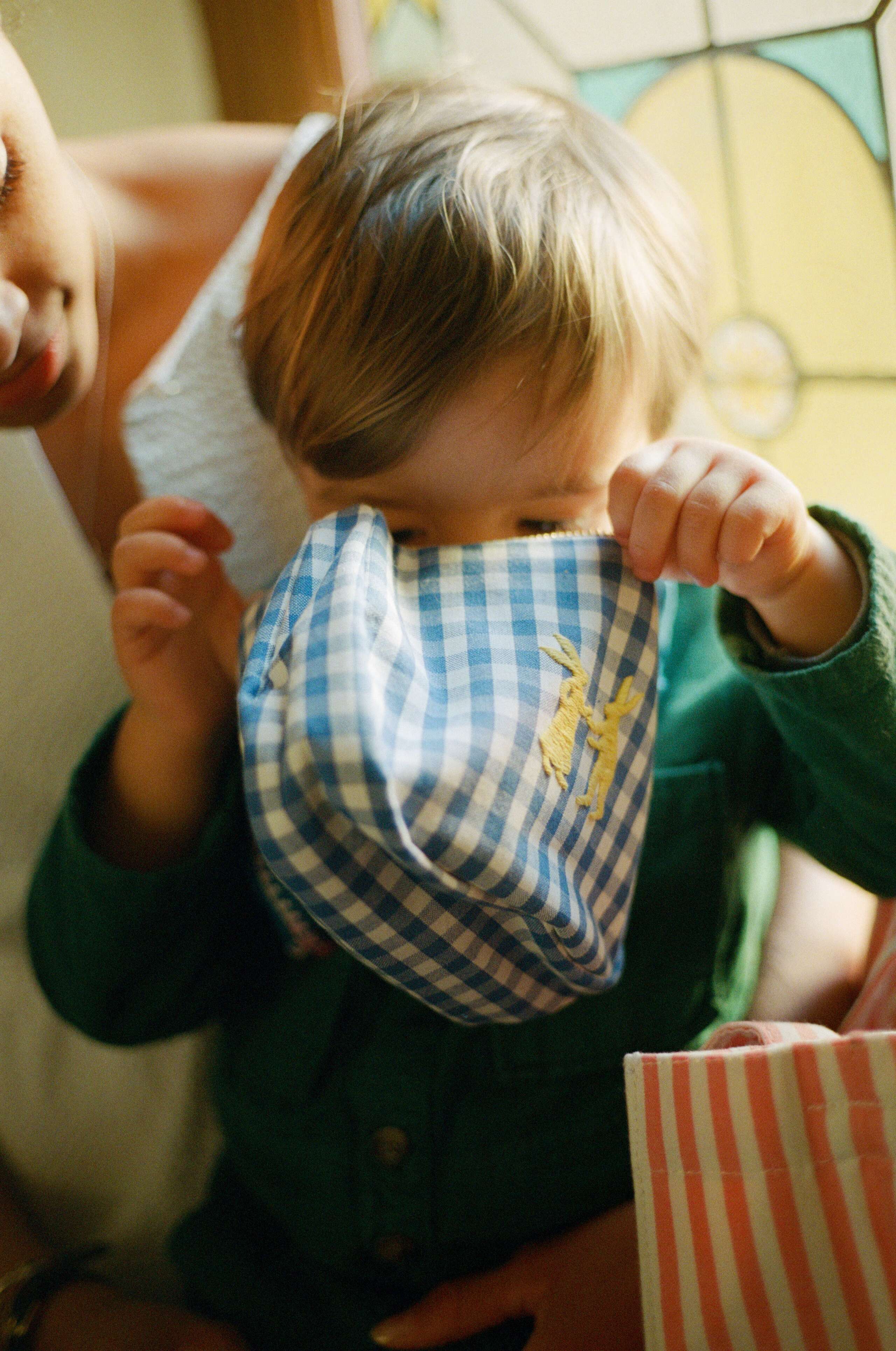 Susan Zimmermann, enSoie