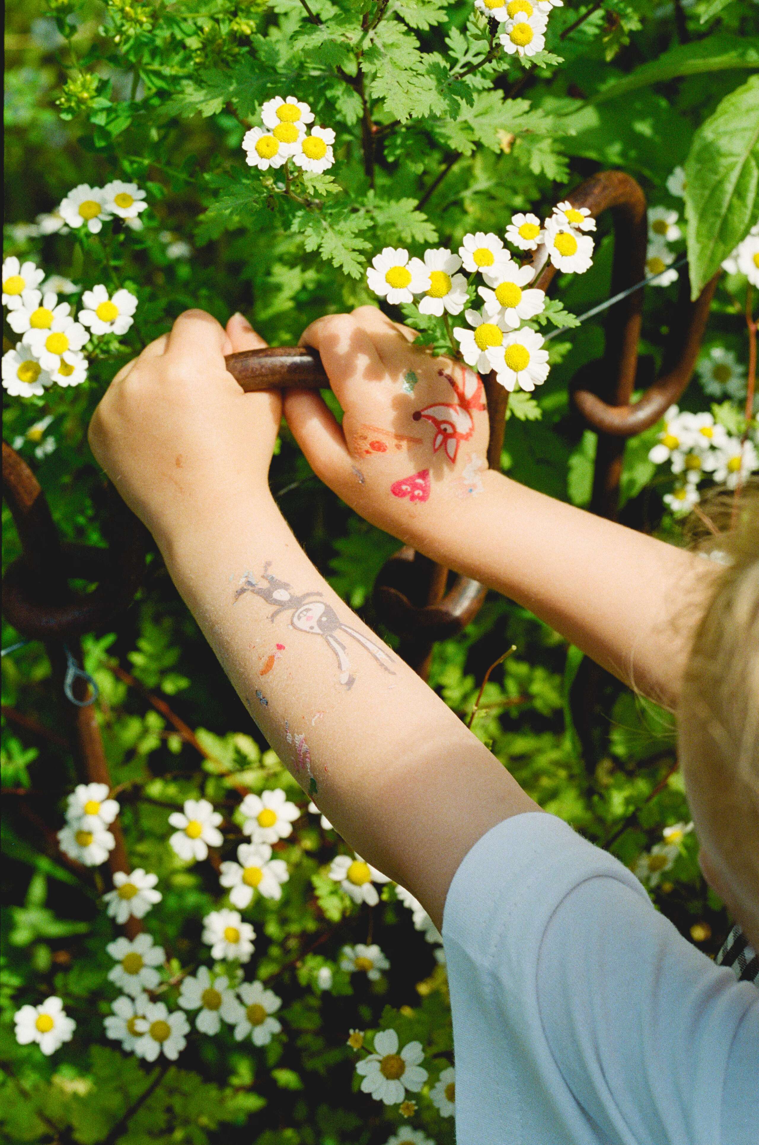 Matilda Meier, enSoie