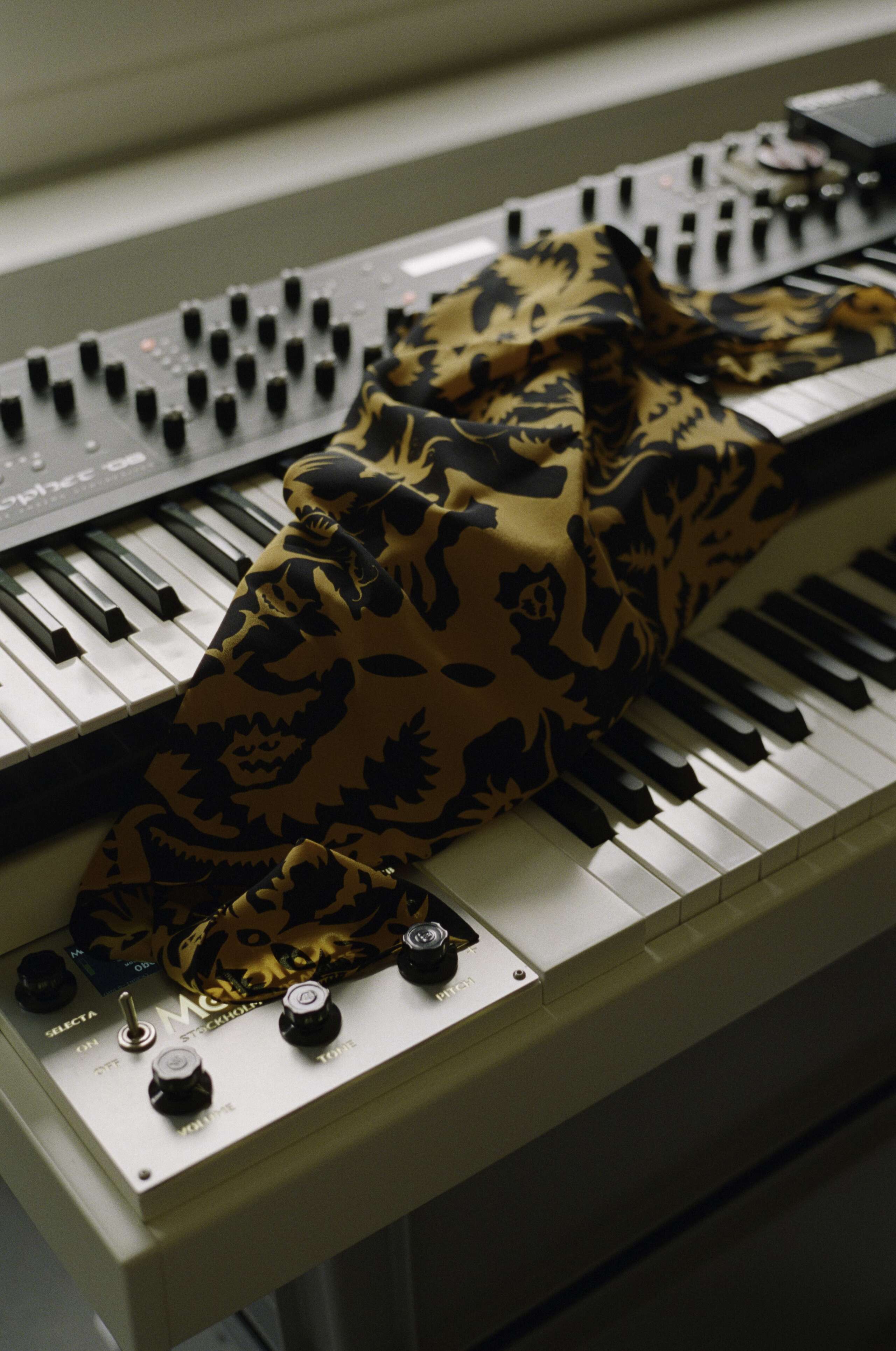 Alban Schelbert, enSoie