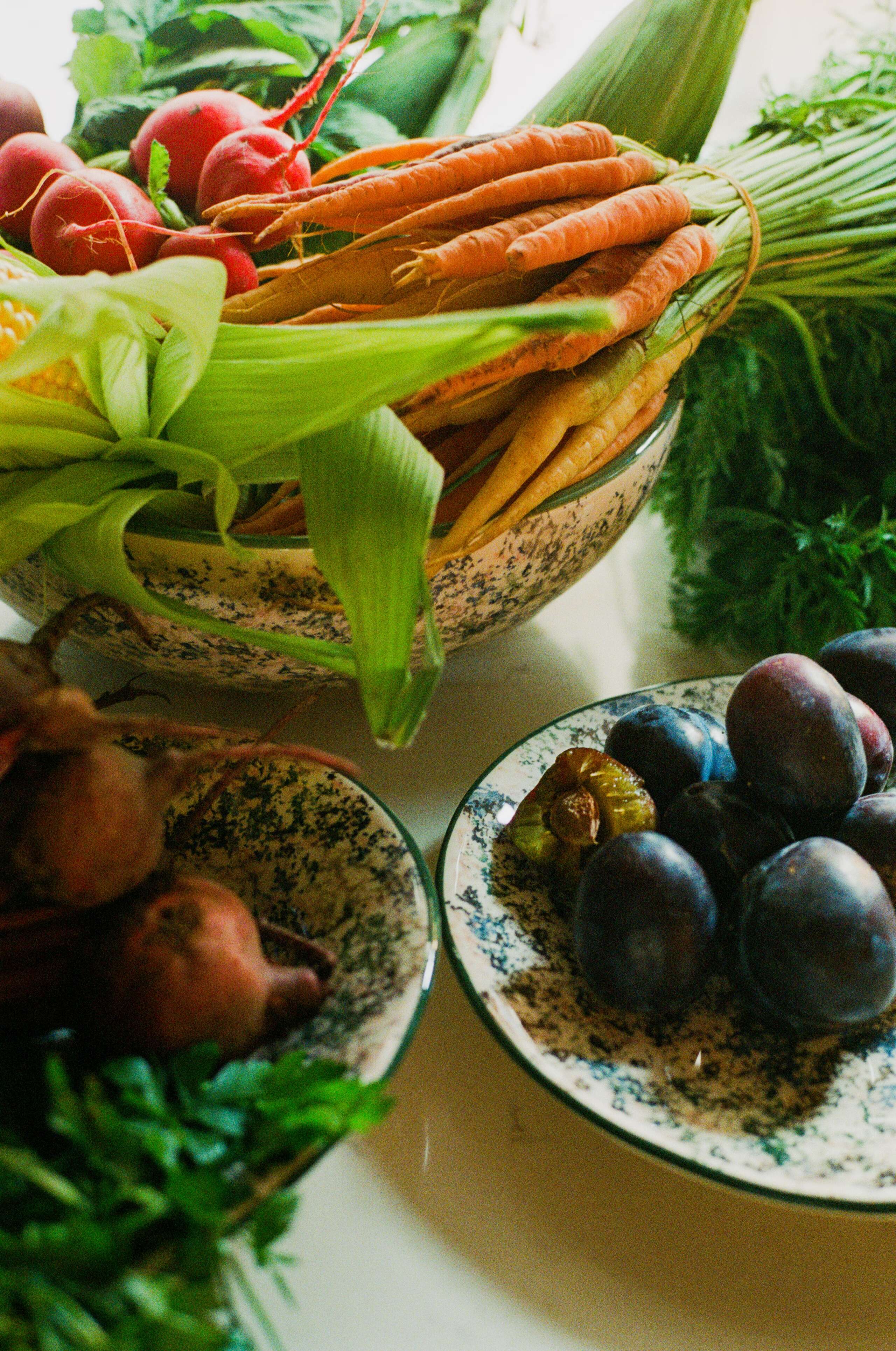 Lisa Feldmann, enSoie