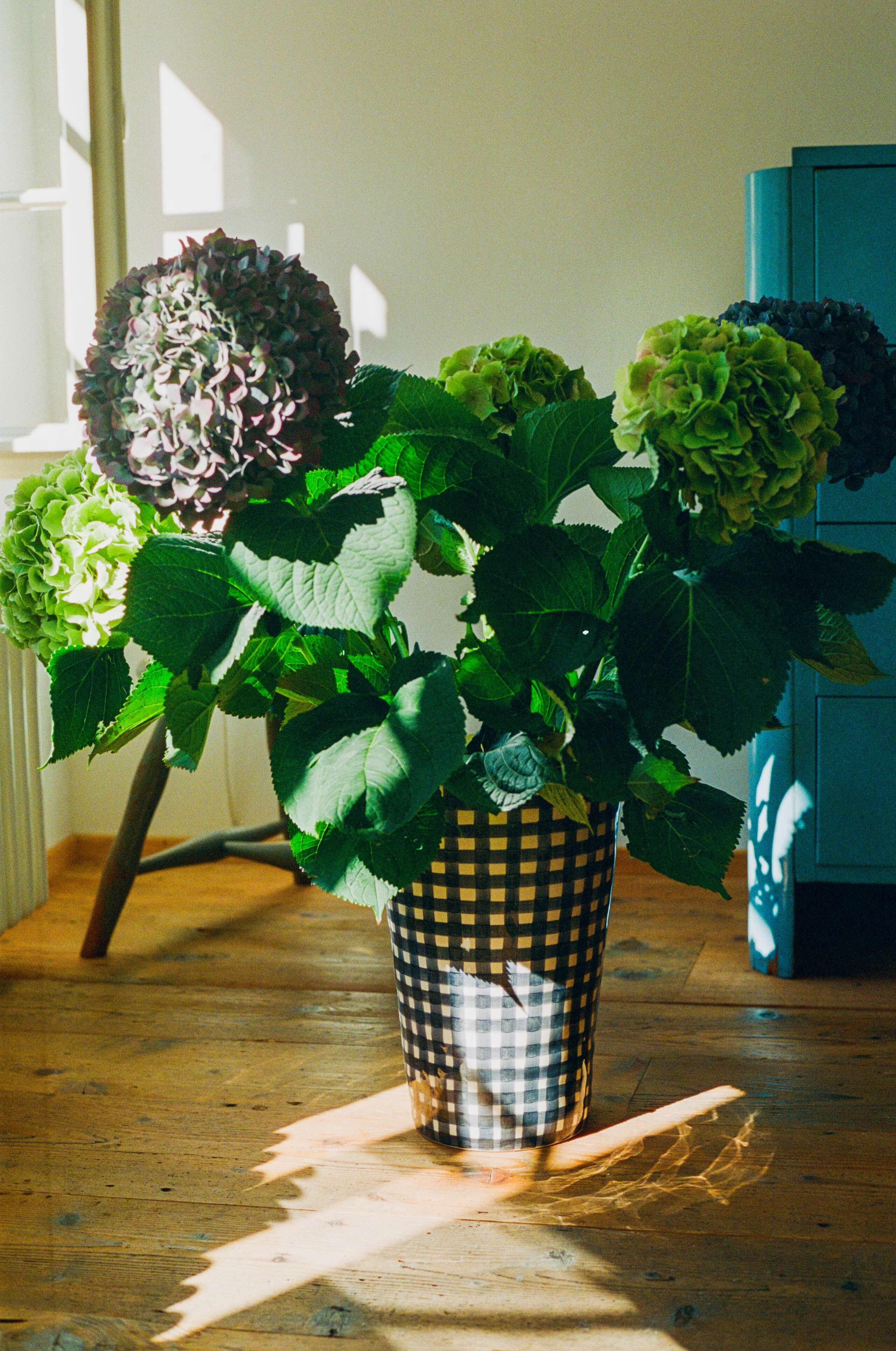 Lisa Feldmann, enSoie