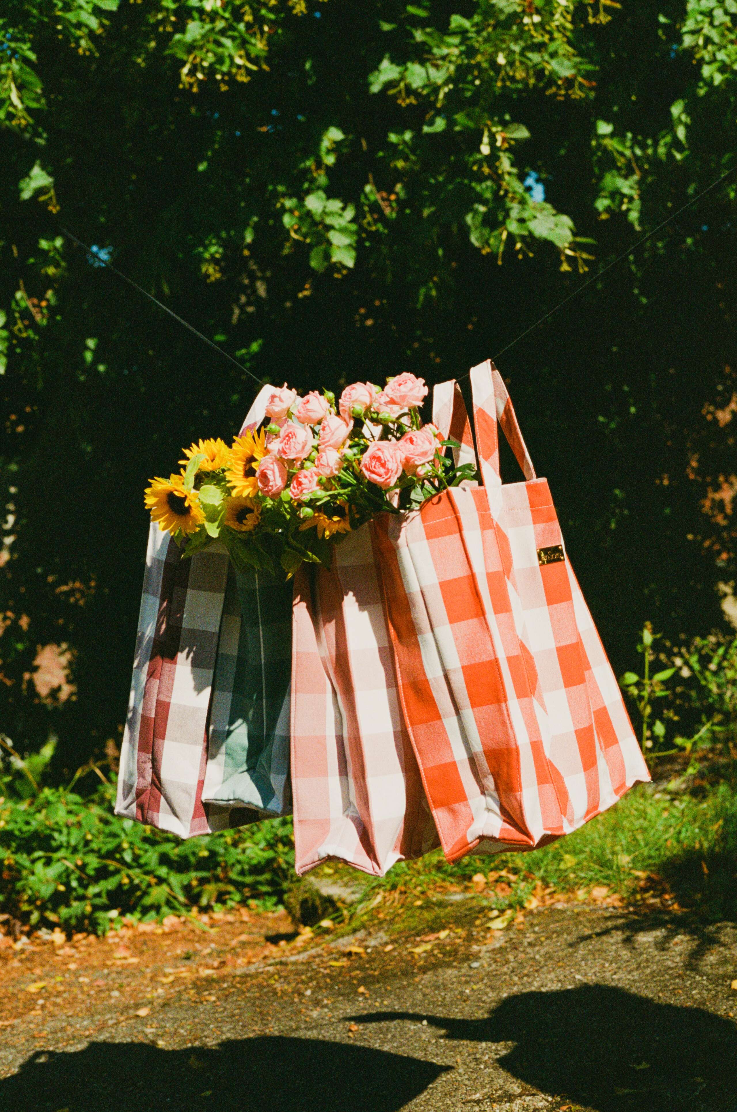 Lisa Feldmann, enSoie