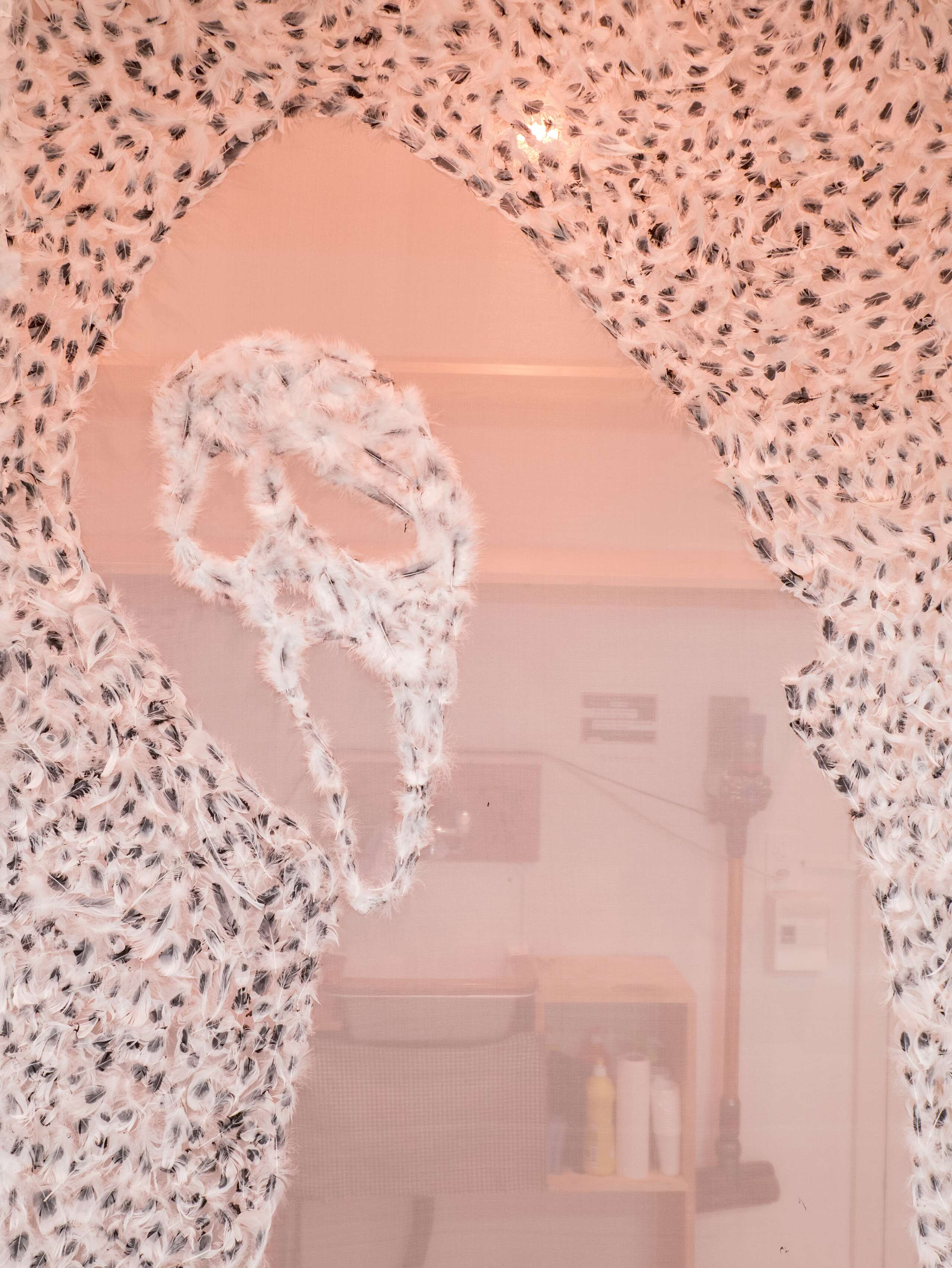 Adam Cruces, Rindermarkt 23