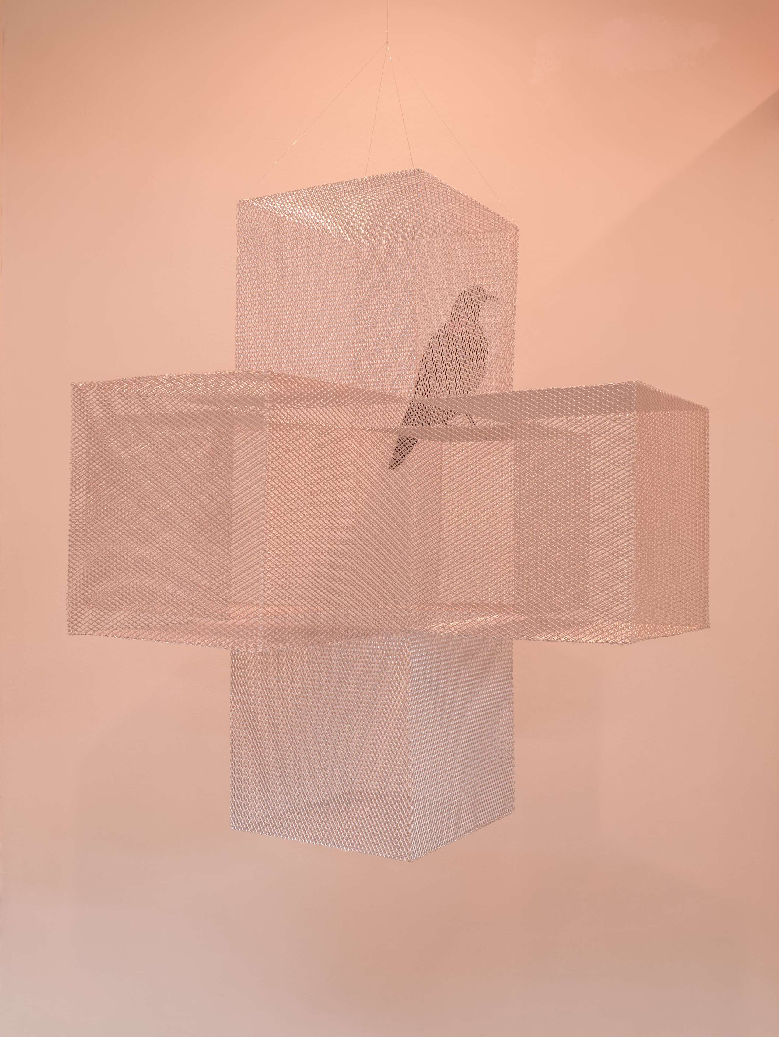 Adam Cruces, Rindermarkt 23