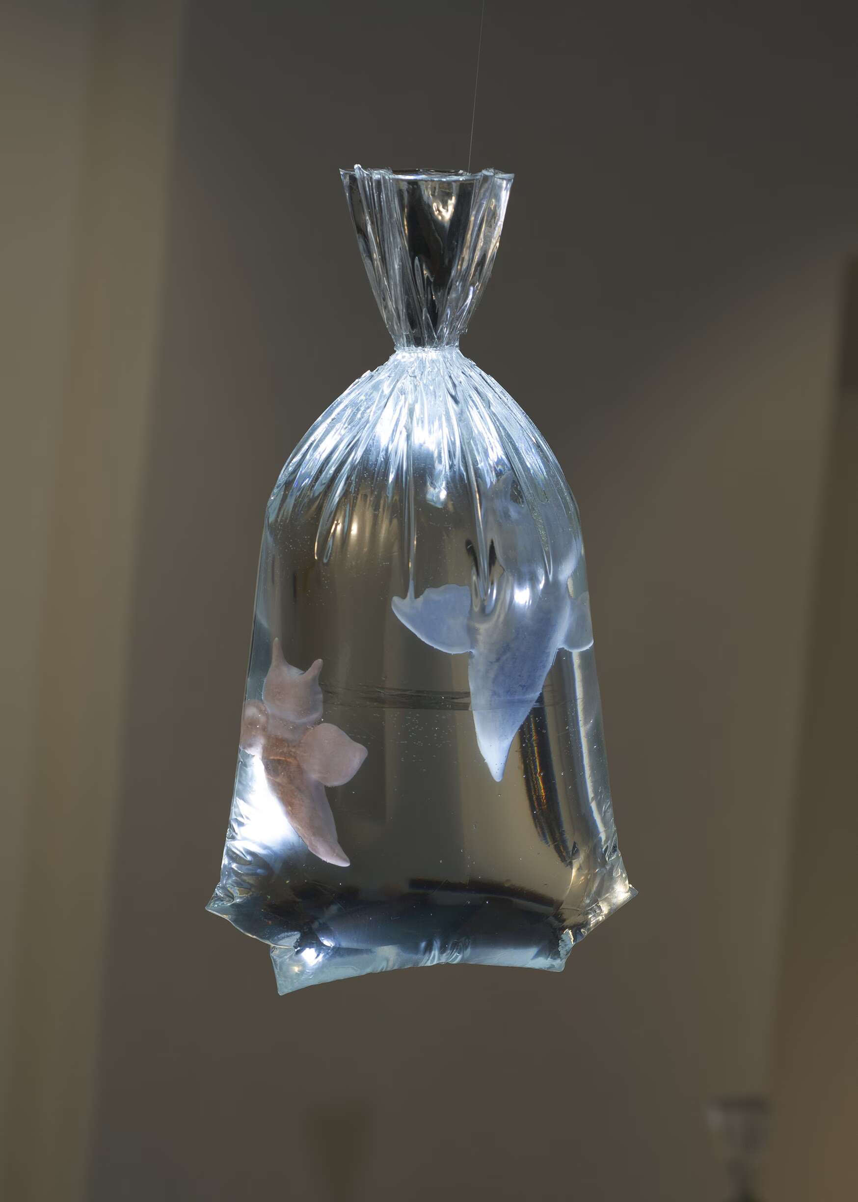 June Fischer at Rindermarkt 23