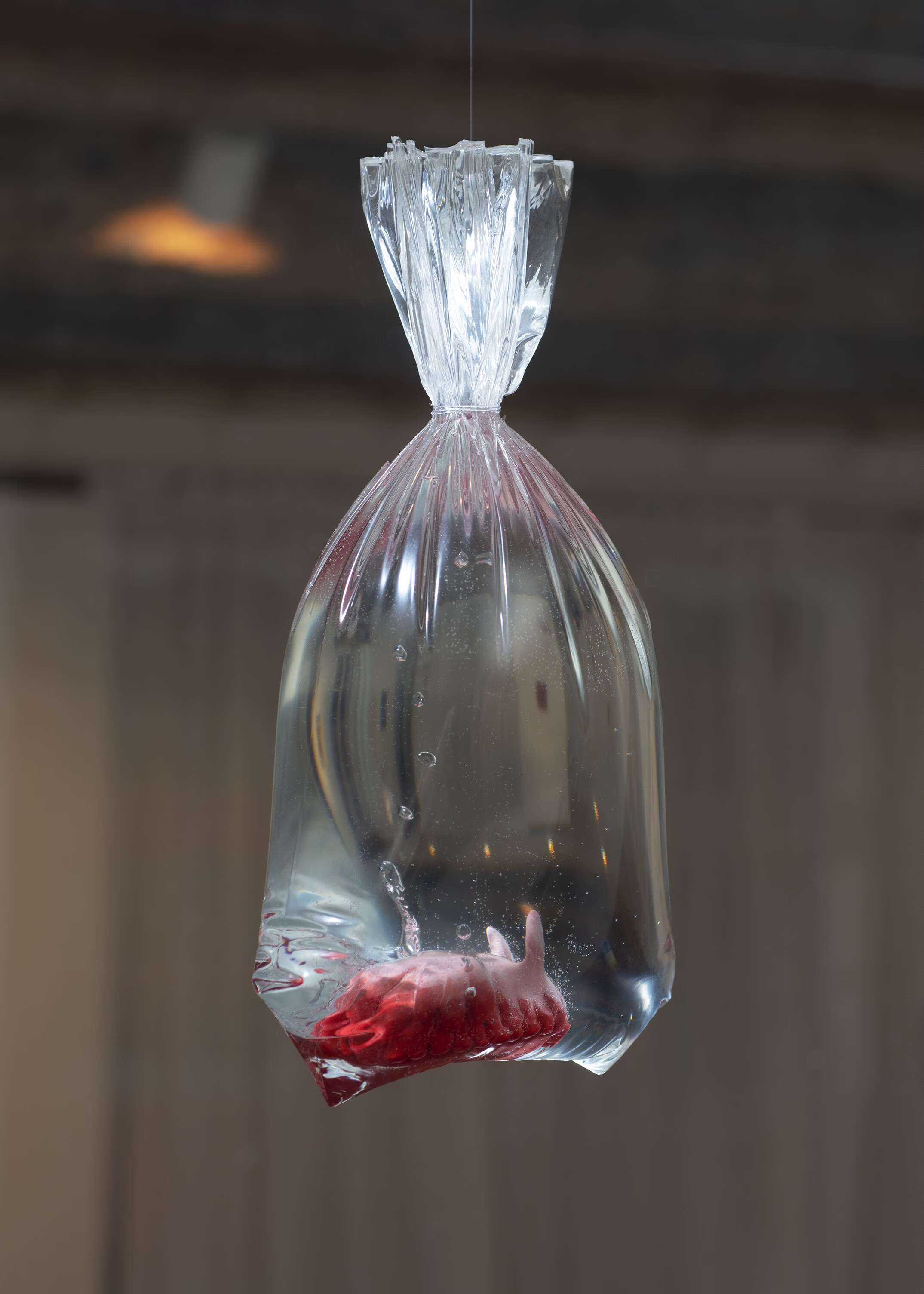 June Fischer at Rindermarkt 23