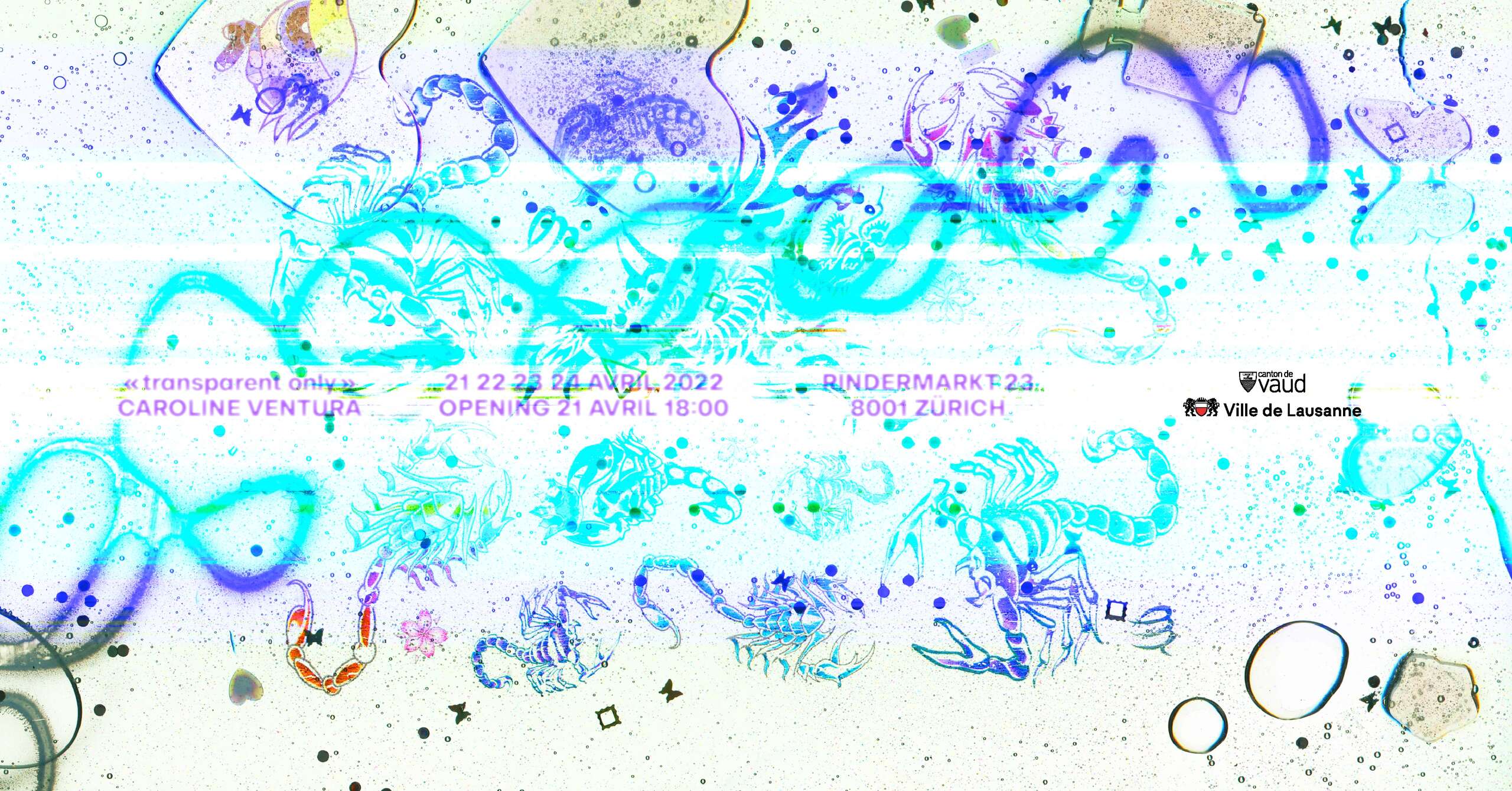 transparent only_k.raw_FB.png