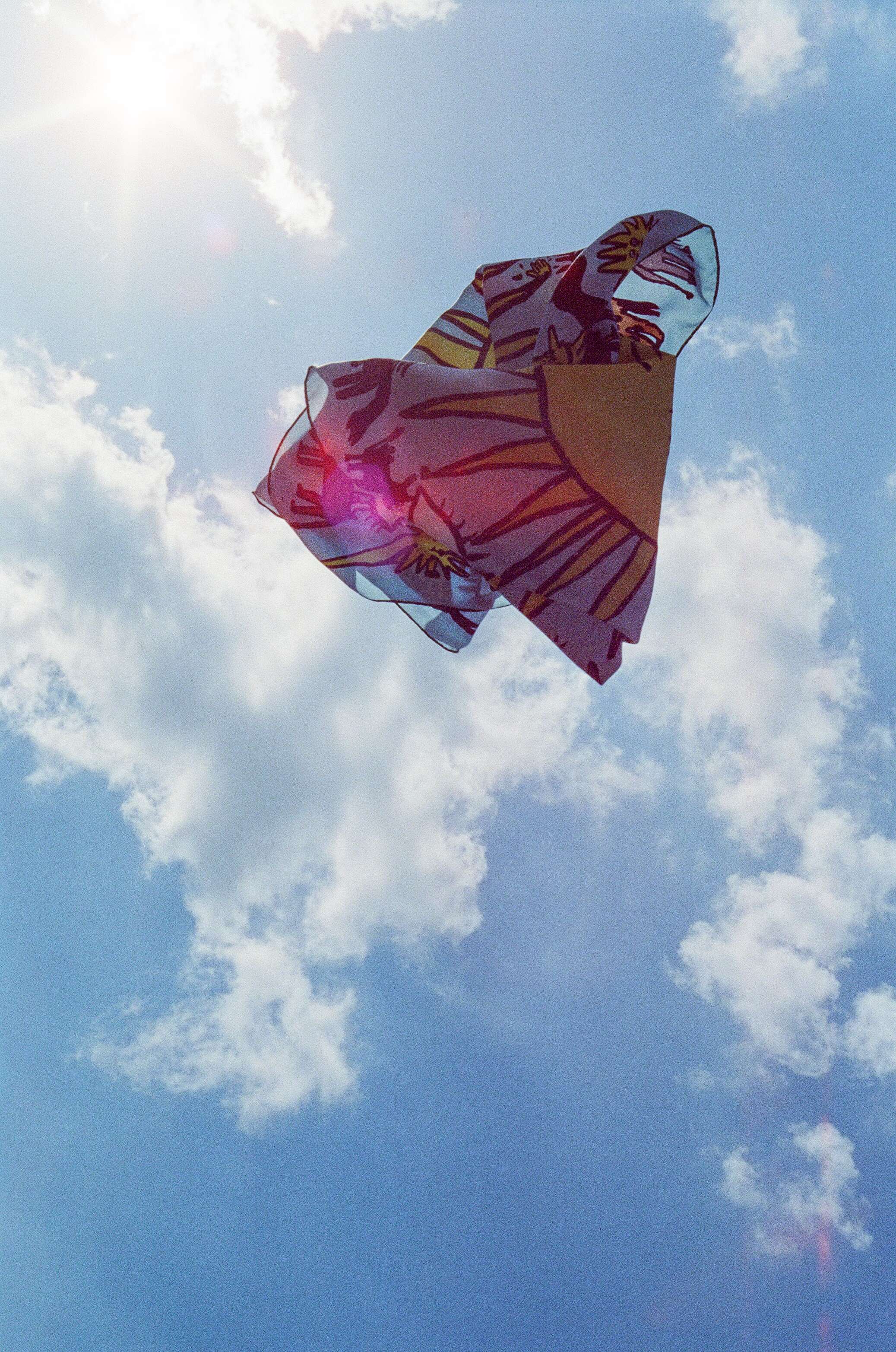 Ari Hofstetter, enSoie