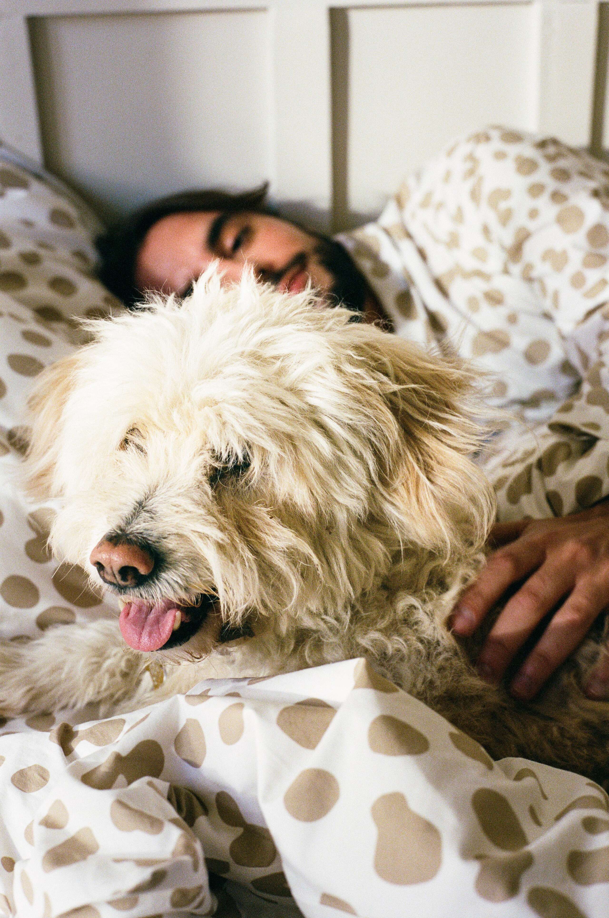 enSoie Bedding