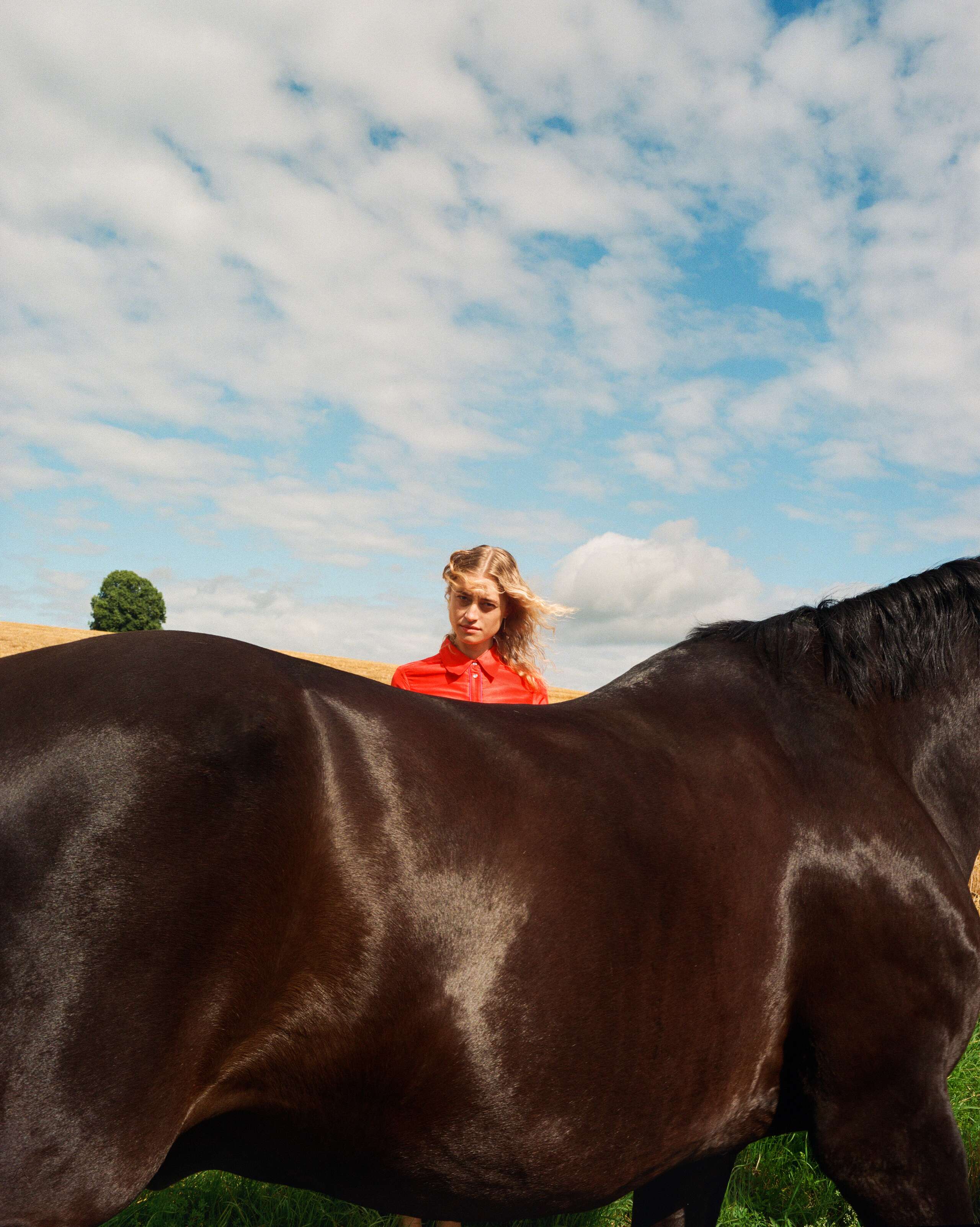Picture of a model behind a black horse