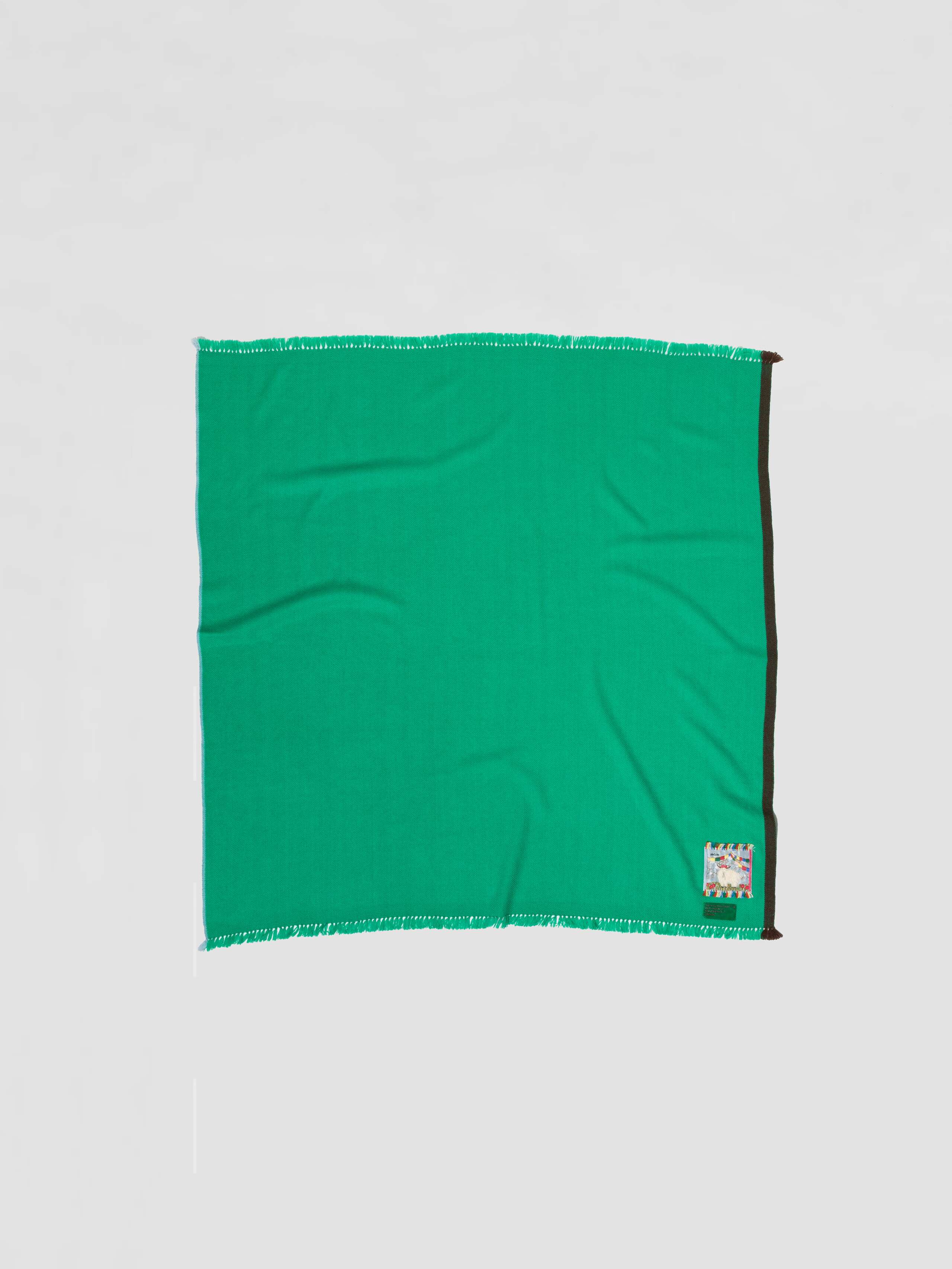 Blia 100 Cashmere stole in Frog is my best friend green