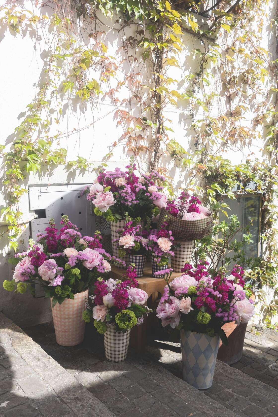 Pictures of Flowers