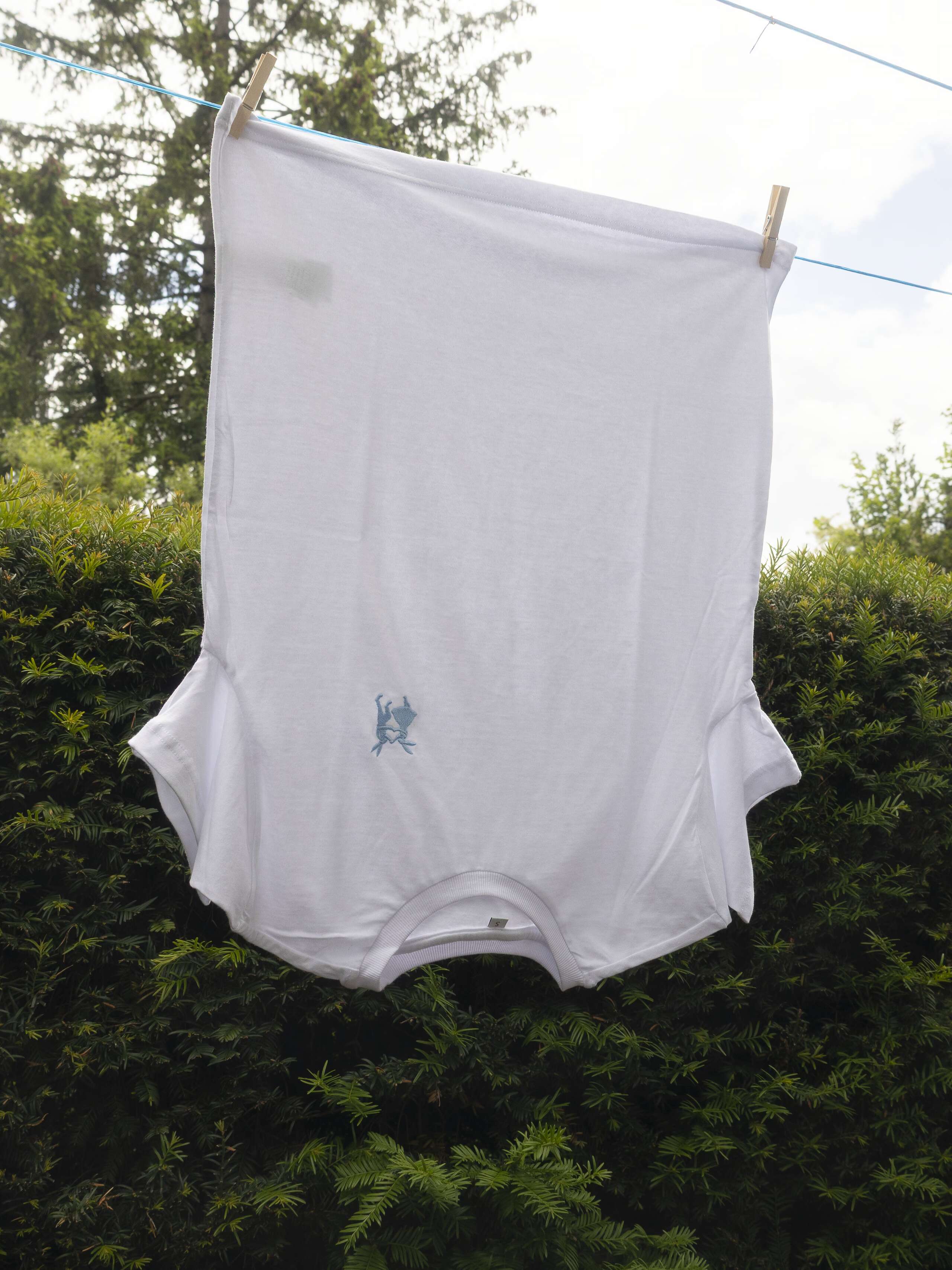 Picture of a t-shirt 