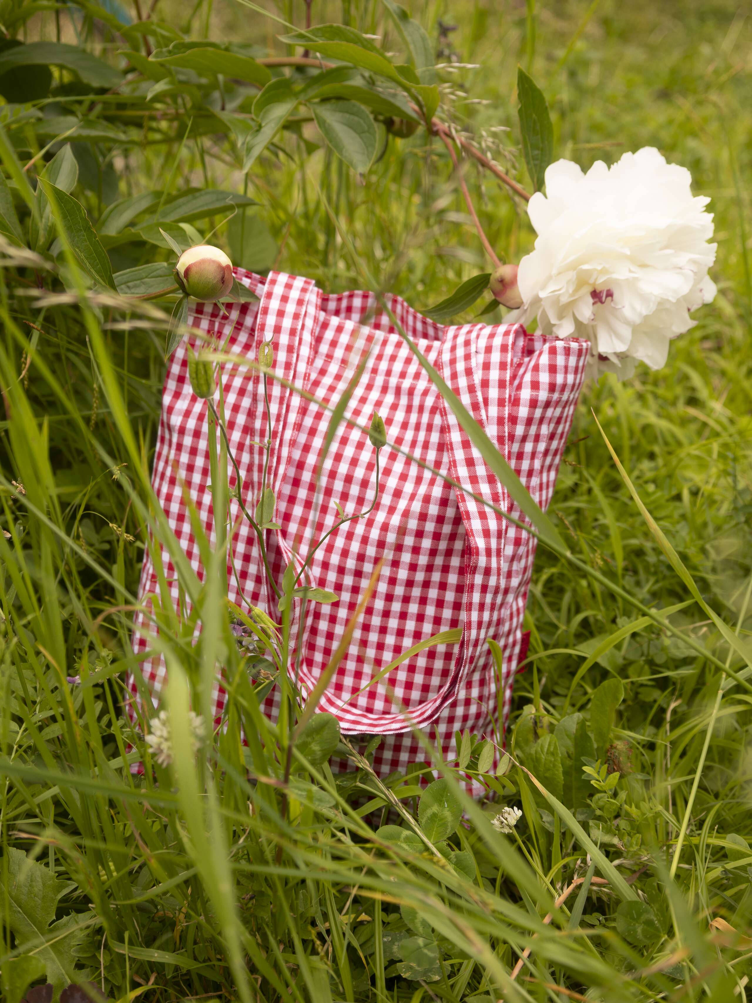 Picture of a bag