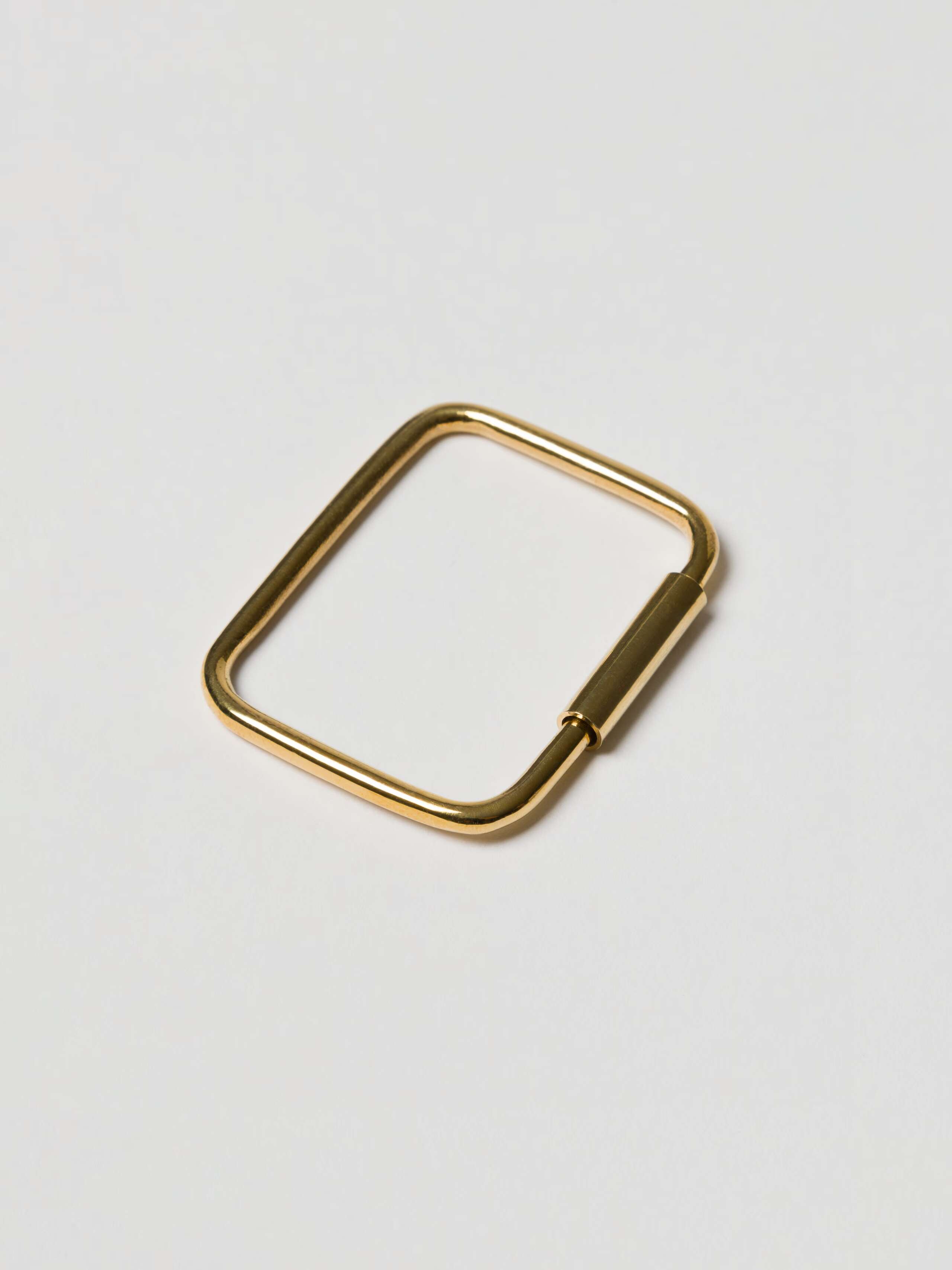 Fancy carabiner brass screw closure