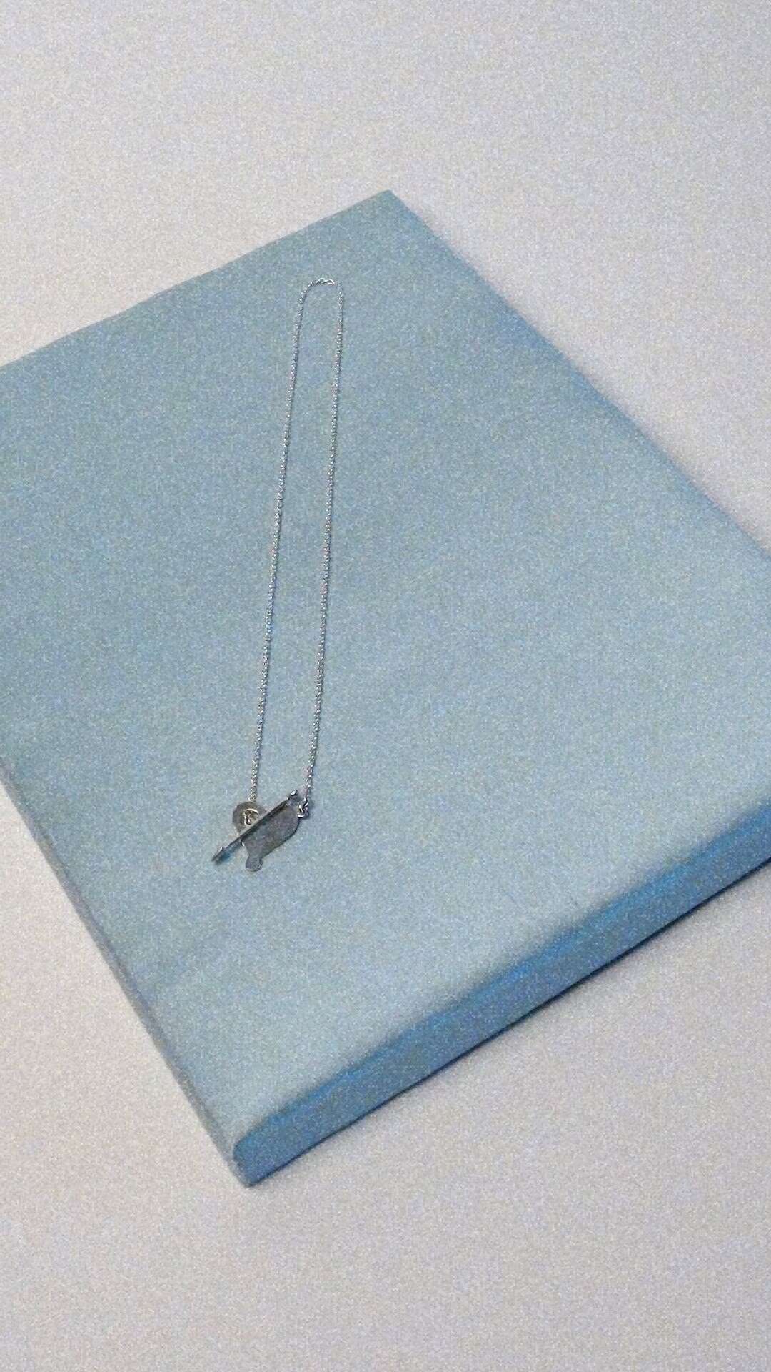Picture of a silver necklace