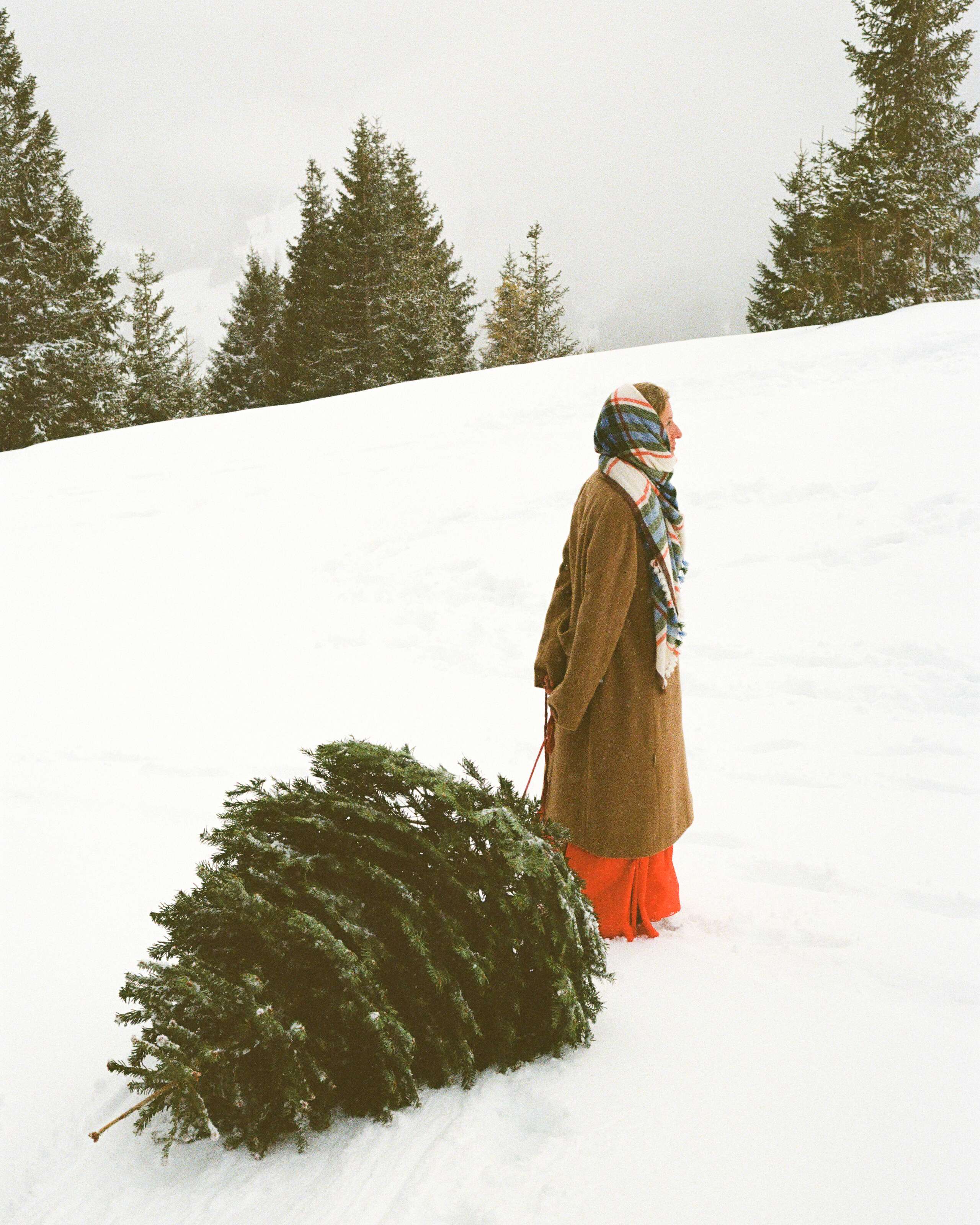 Picture of a women in a snowy landscape
