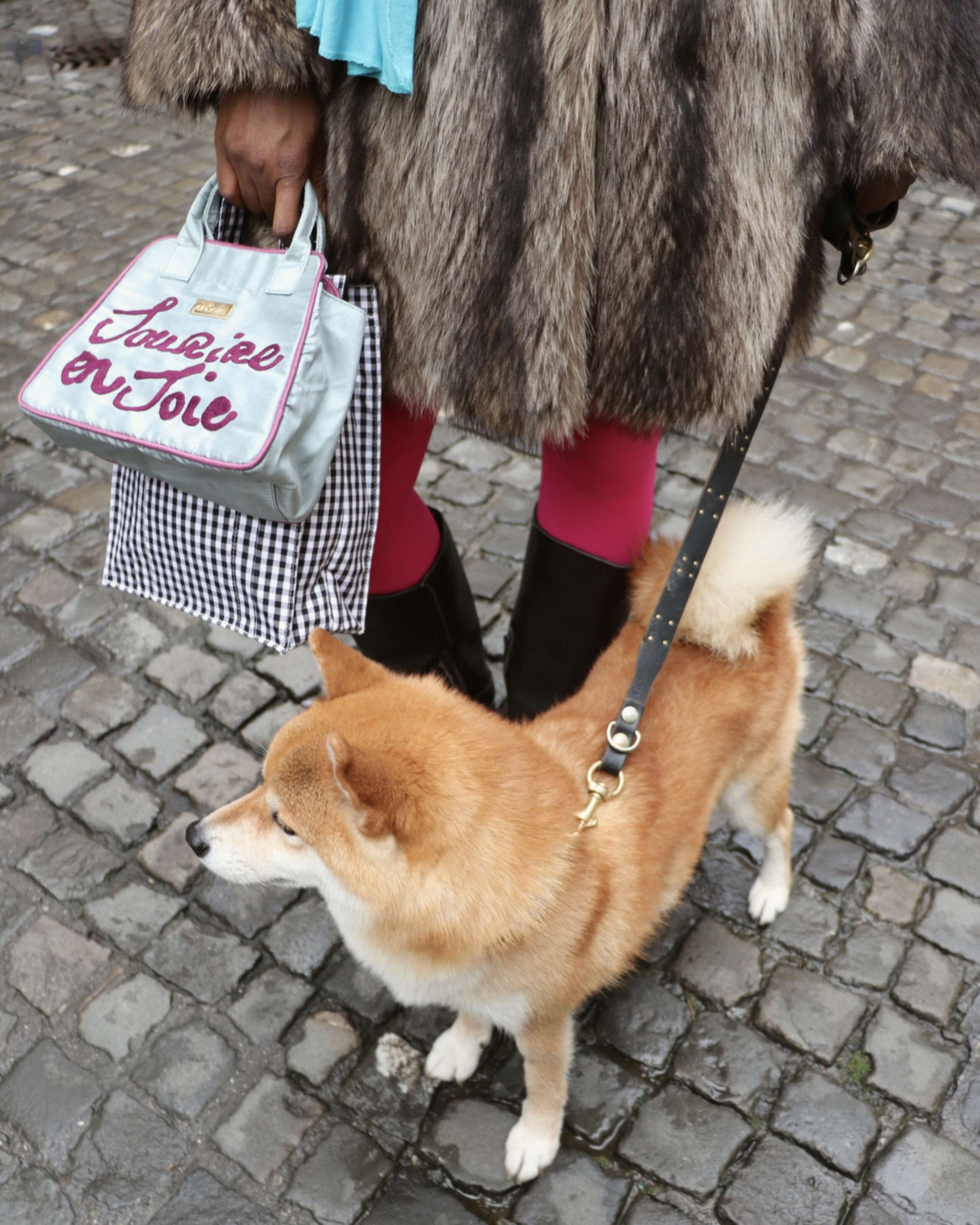 Picture of a young women with a dog  in Zurich wearing enSoie bags