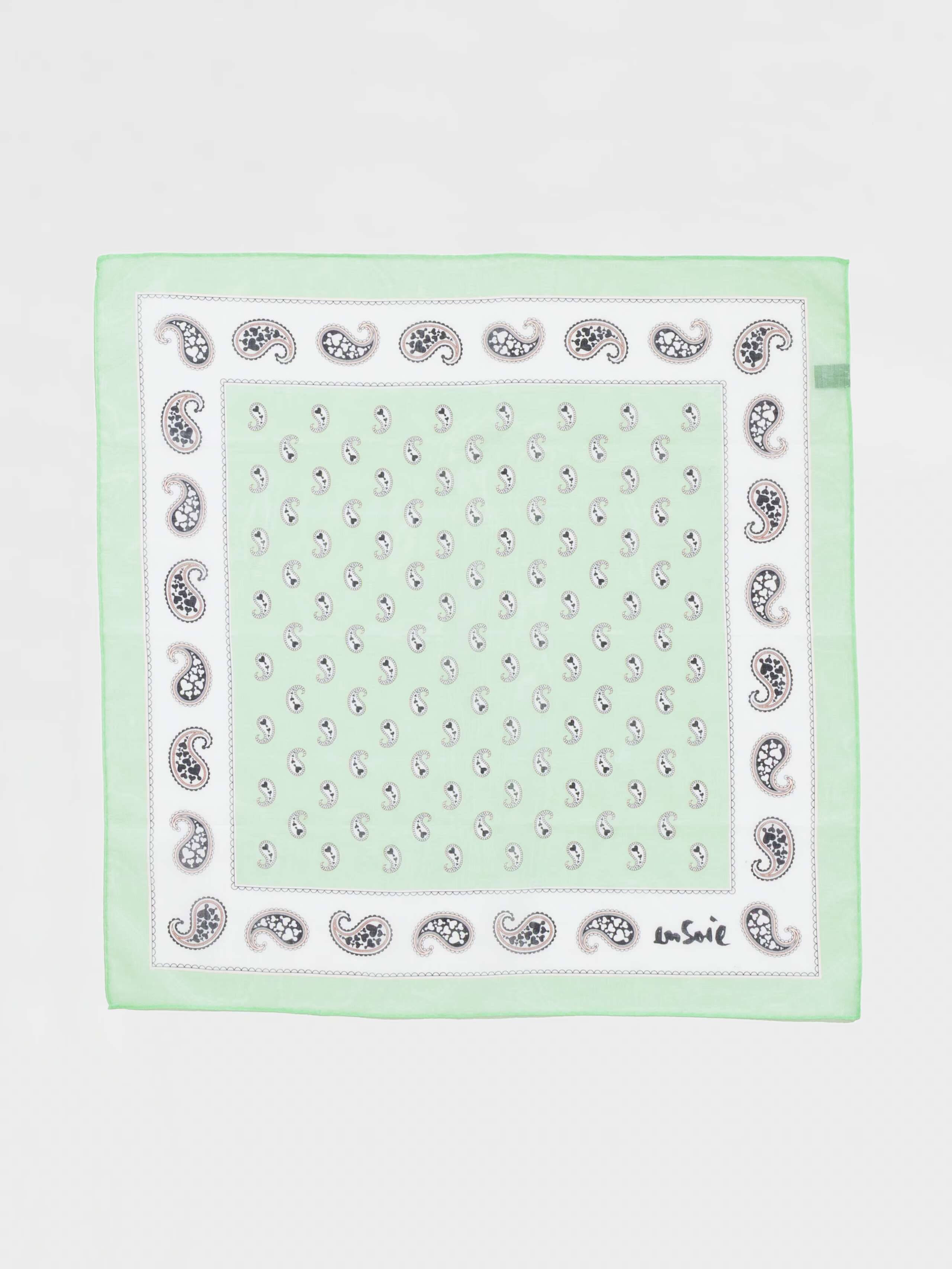 Product Shot of Carre Foulard Paisley Print in Mint