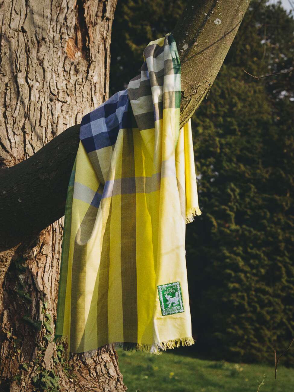 Picture of an enSoie silk scarf in yellow shades