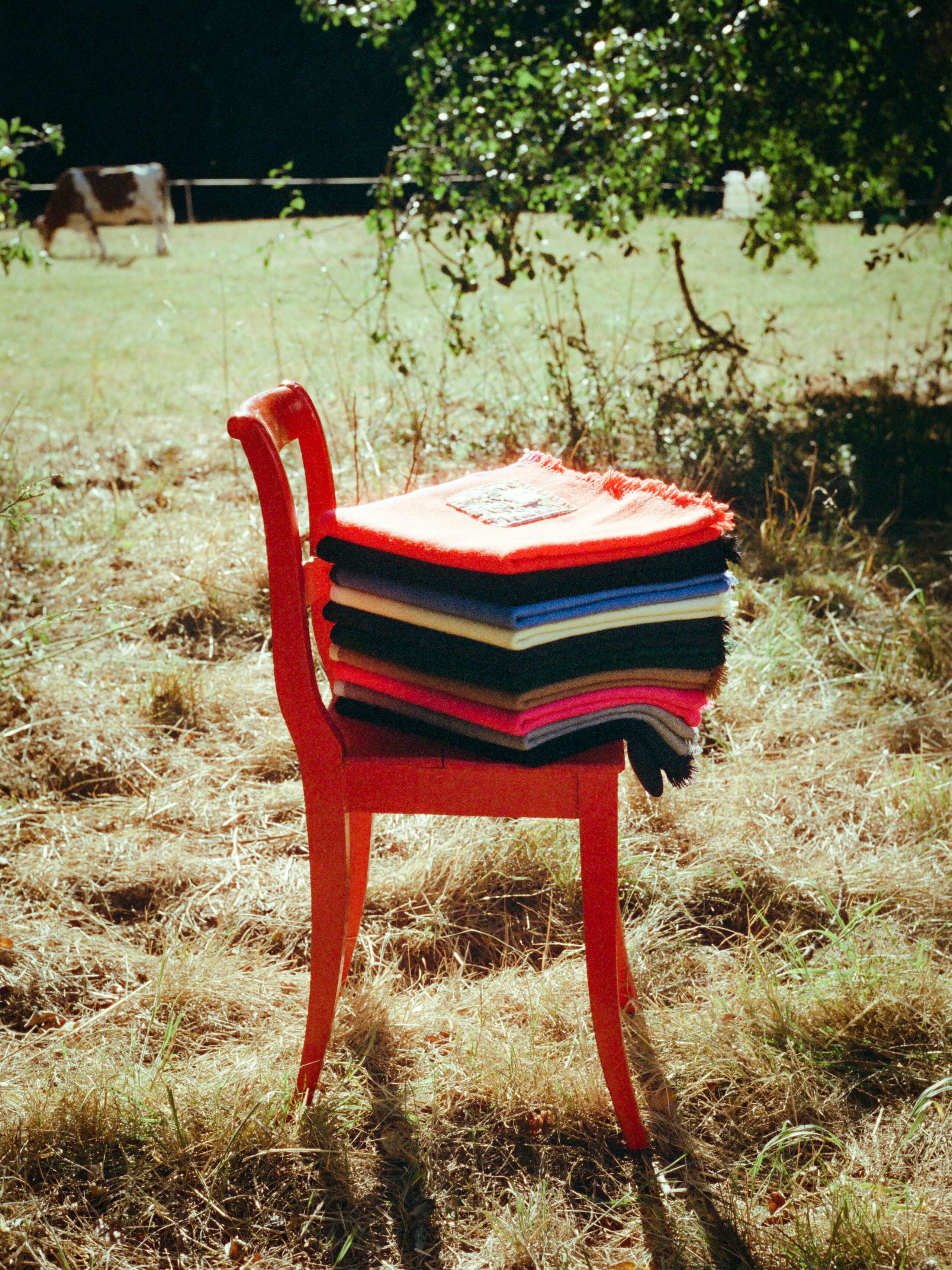 enSoie cashmere collection 2026