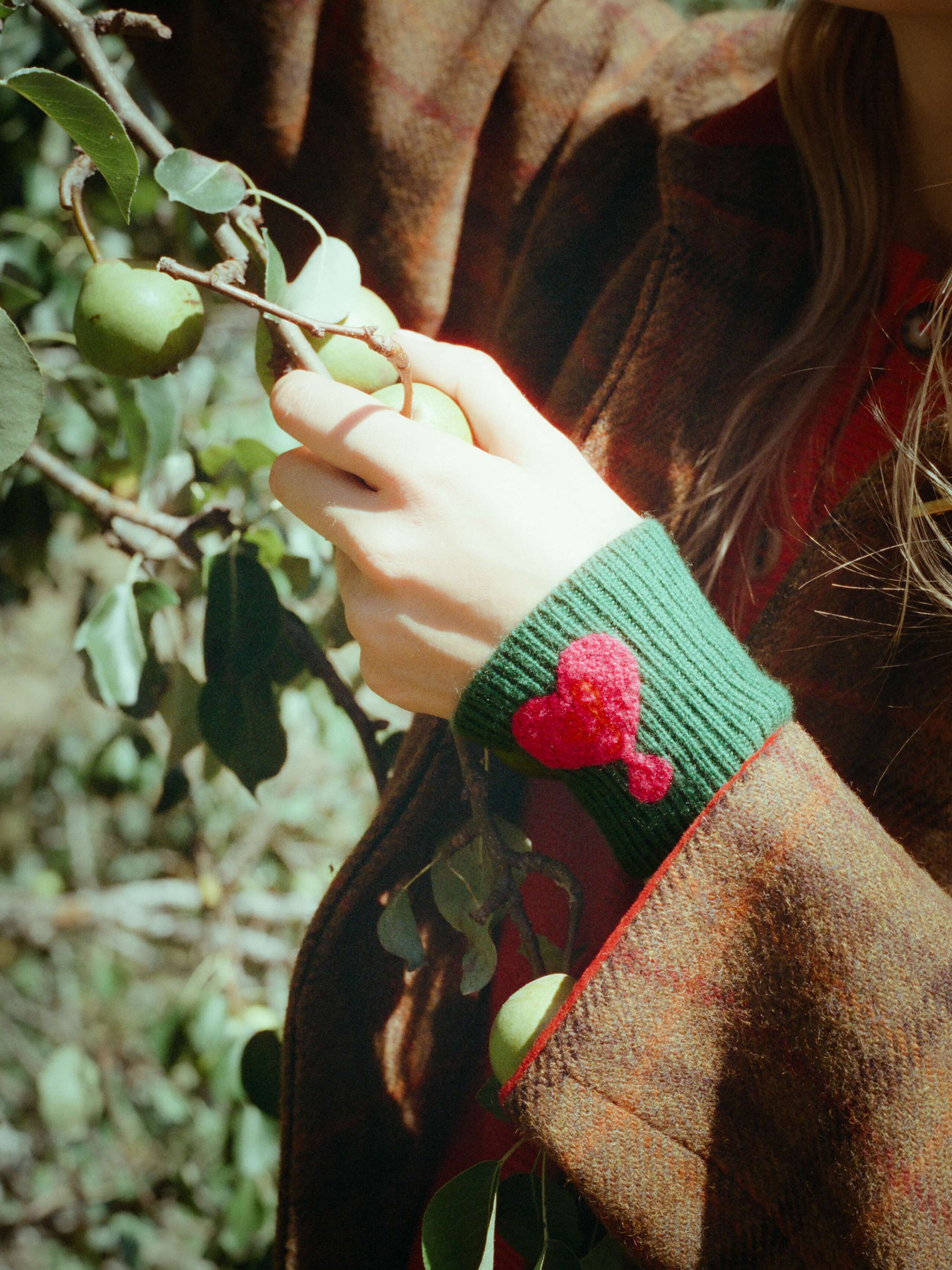 Mood Cashmere