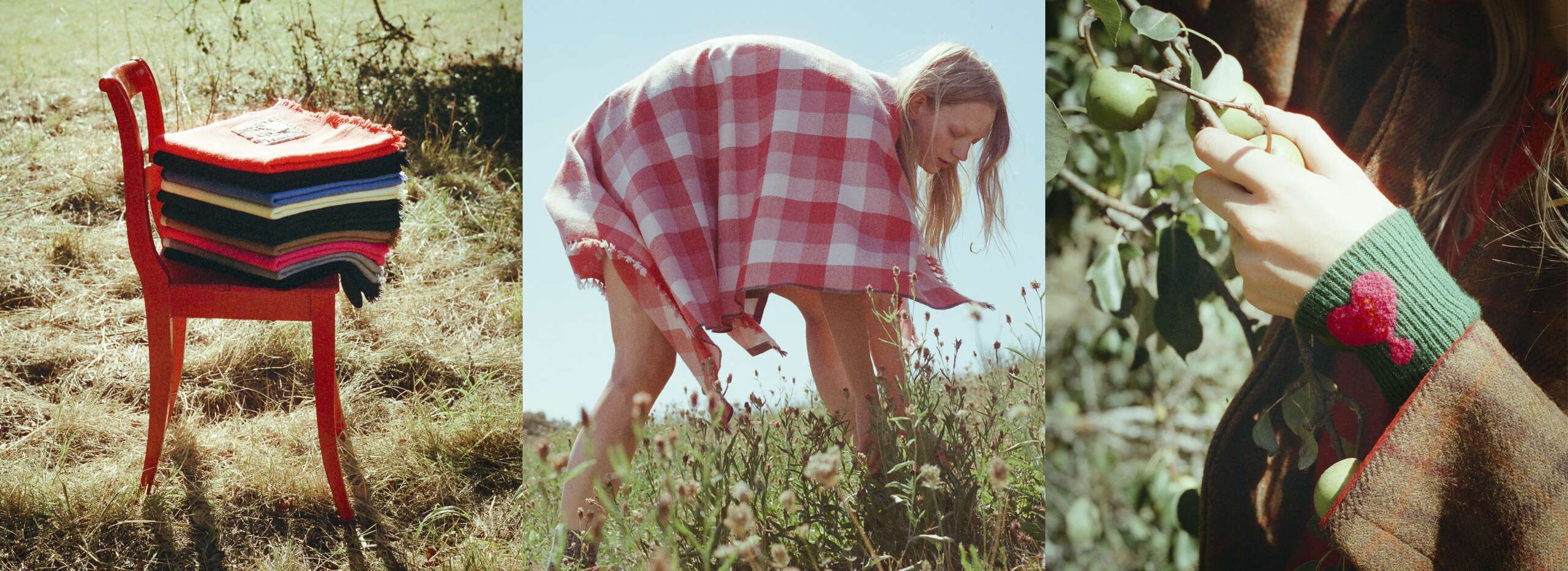 Cashmere Banner